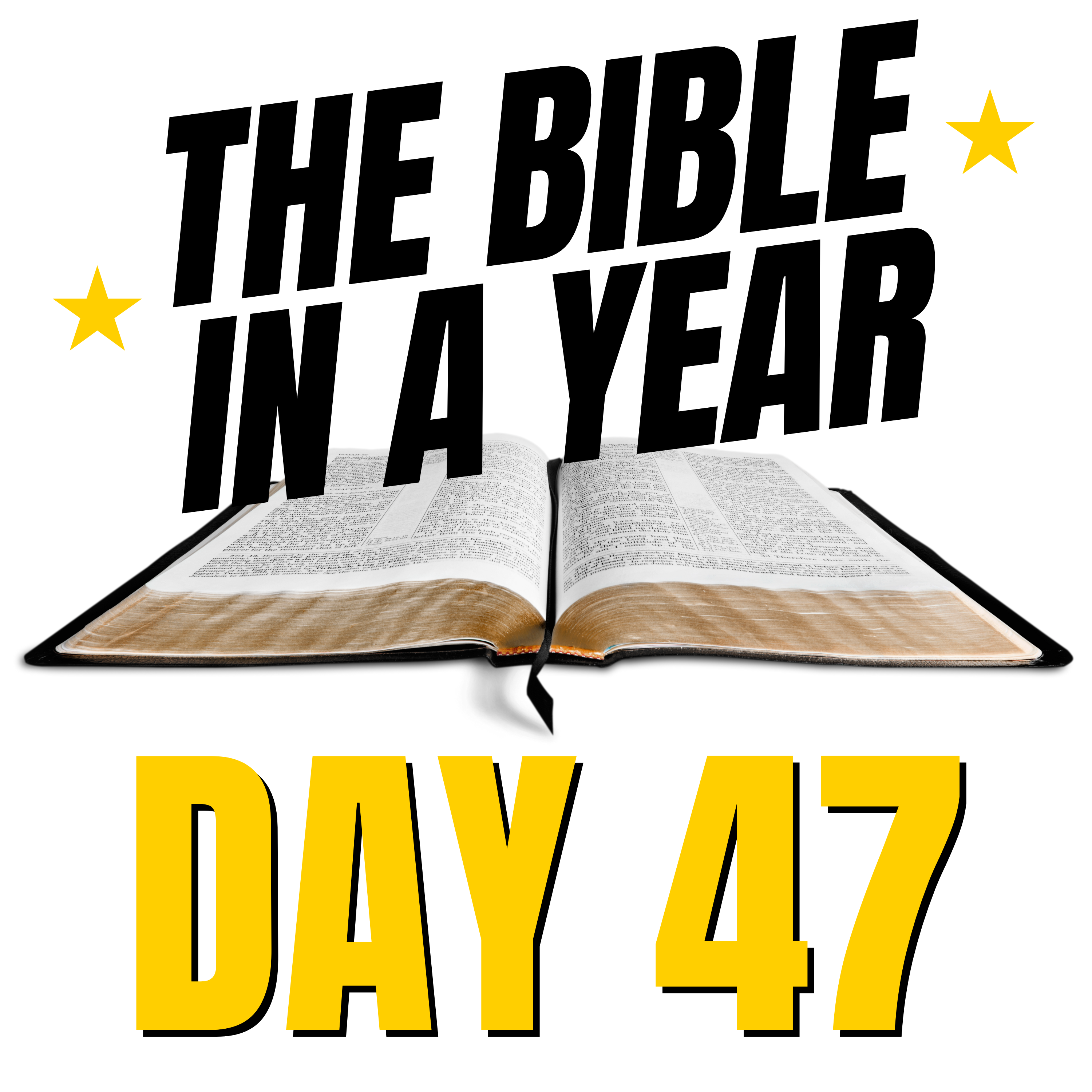 THE BIBLE IN A YEAR (with Alicia Purdy)