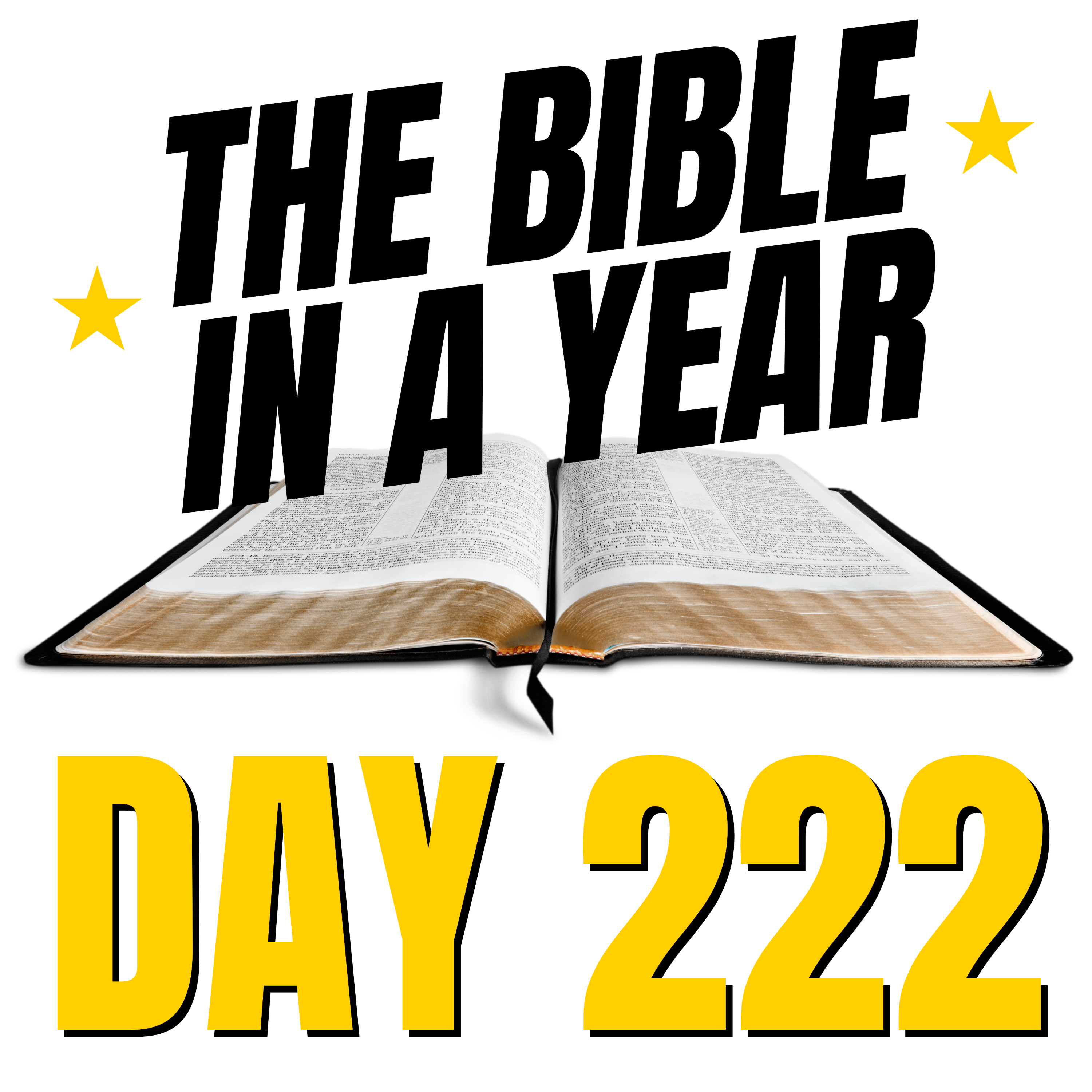 THE BIBLE IN A YEAR: Day 222 episode artwork