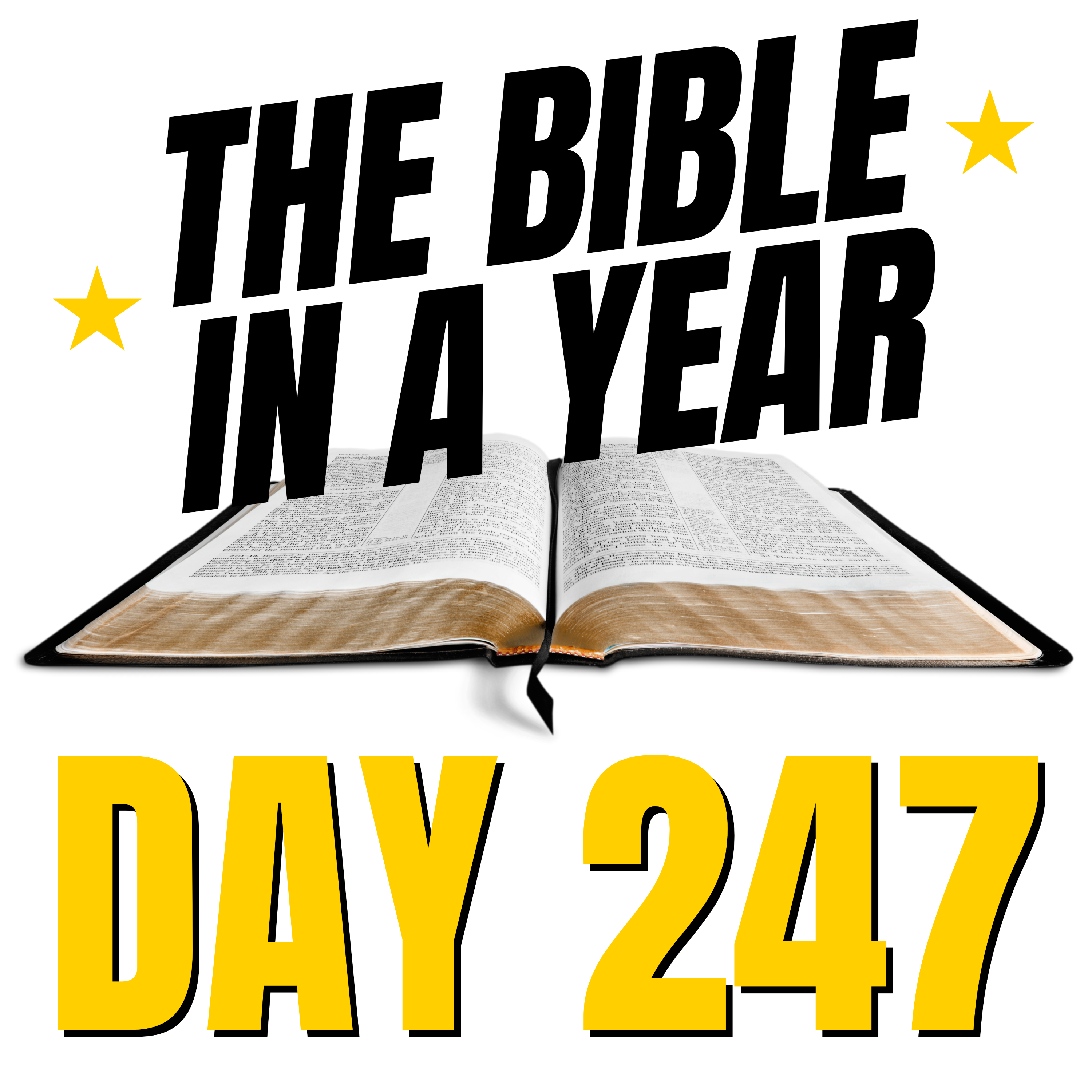 THE BIBLE IN A YEAR: 247 episode artwork