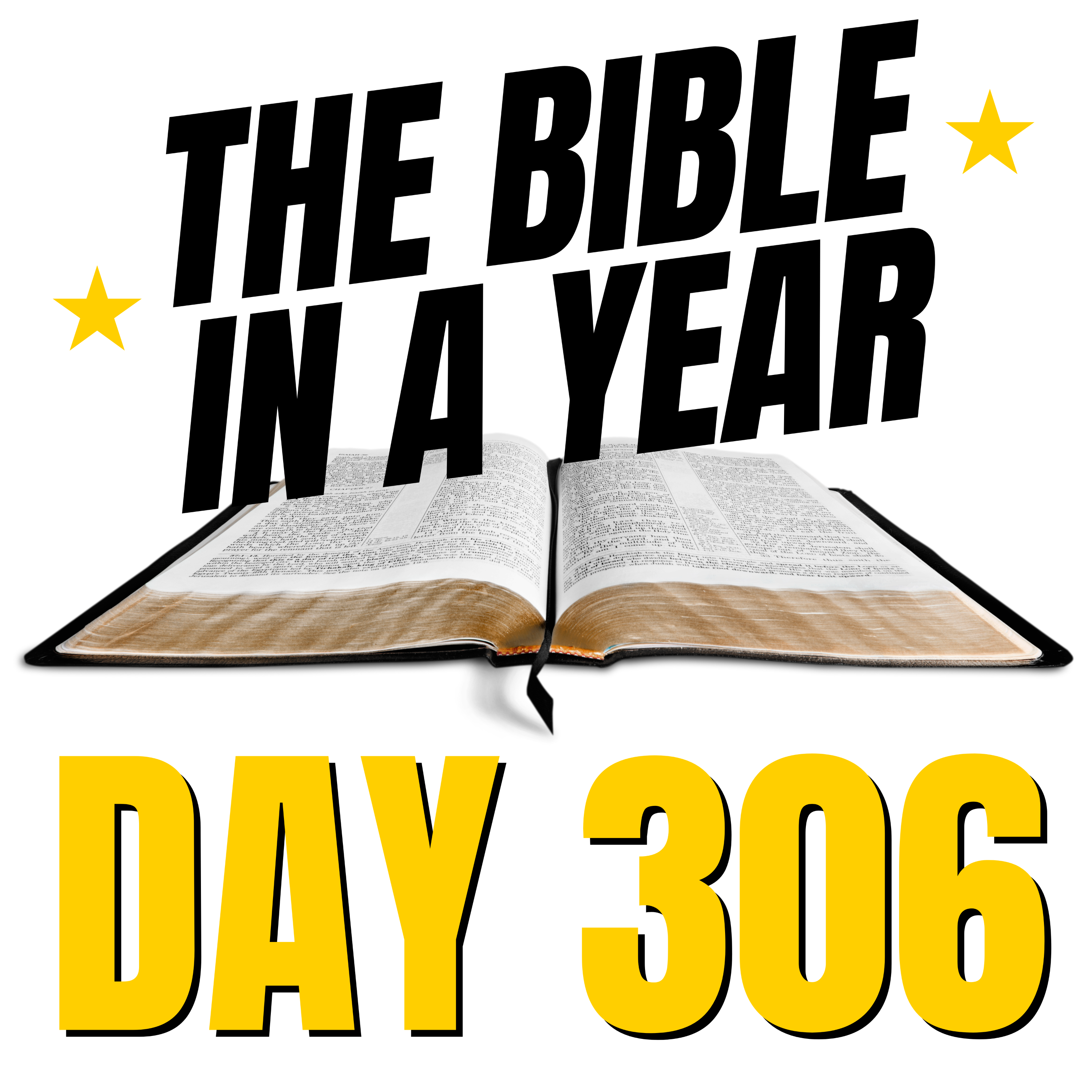 THE BIBLE IN A YEAR: Day 306 episode artwork