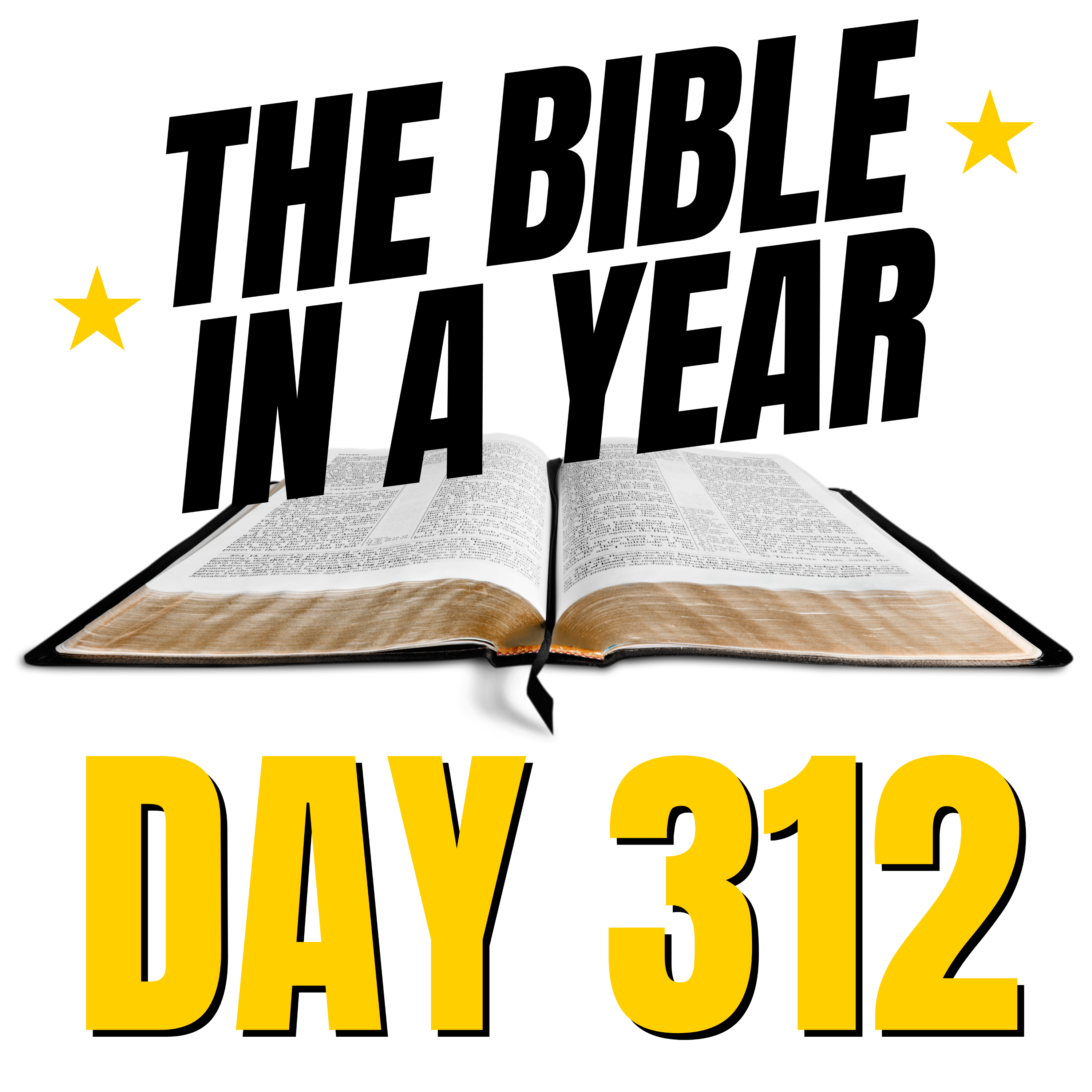 THE BIBLE IN A YEAR: Day 312 episode artwork