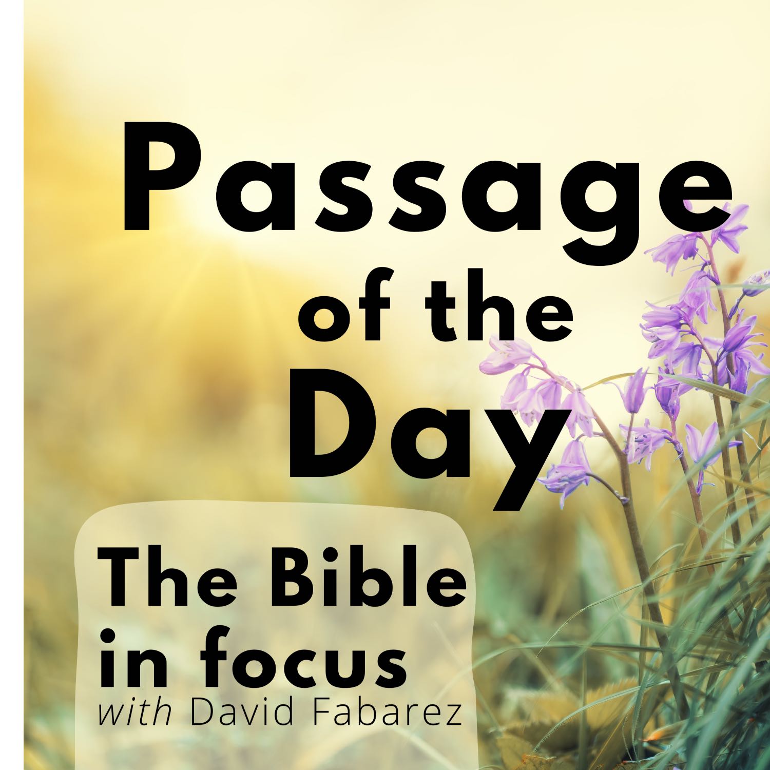 Passage of the Day: Episode Two from Psalm episode artwork