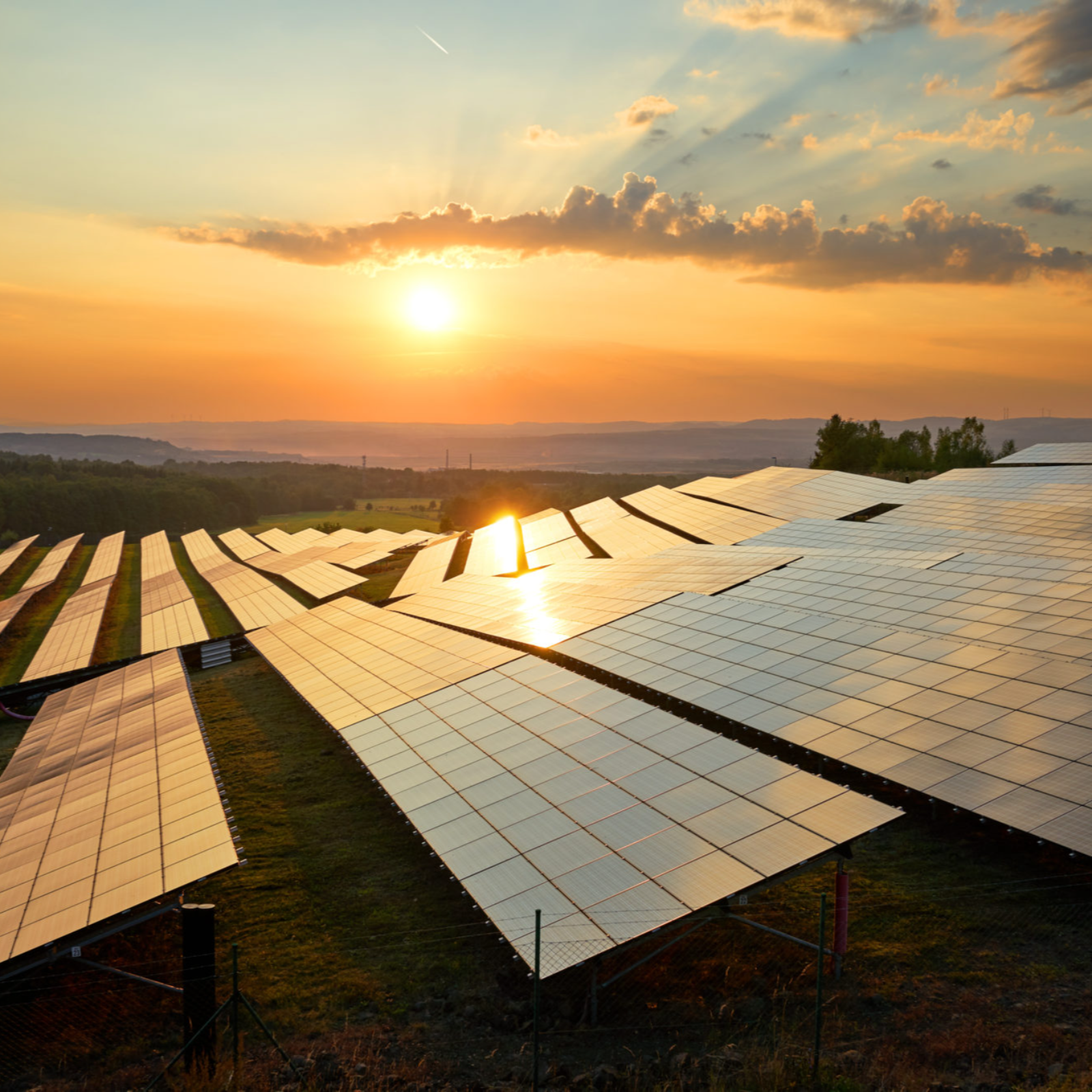 The Big Share- AI in Solar Energy podcast artwork