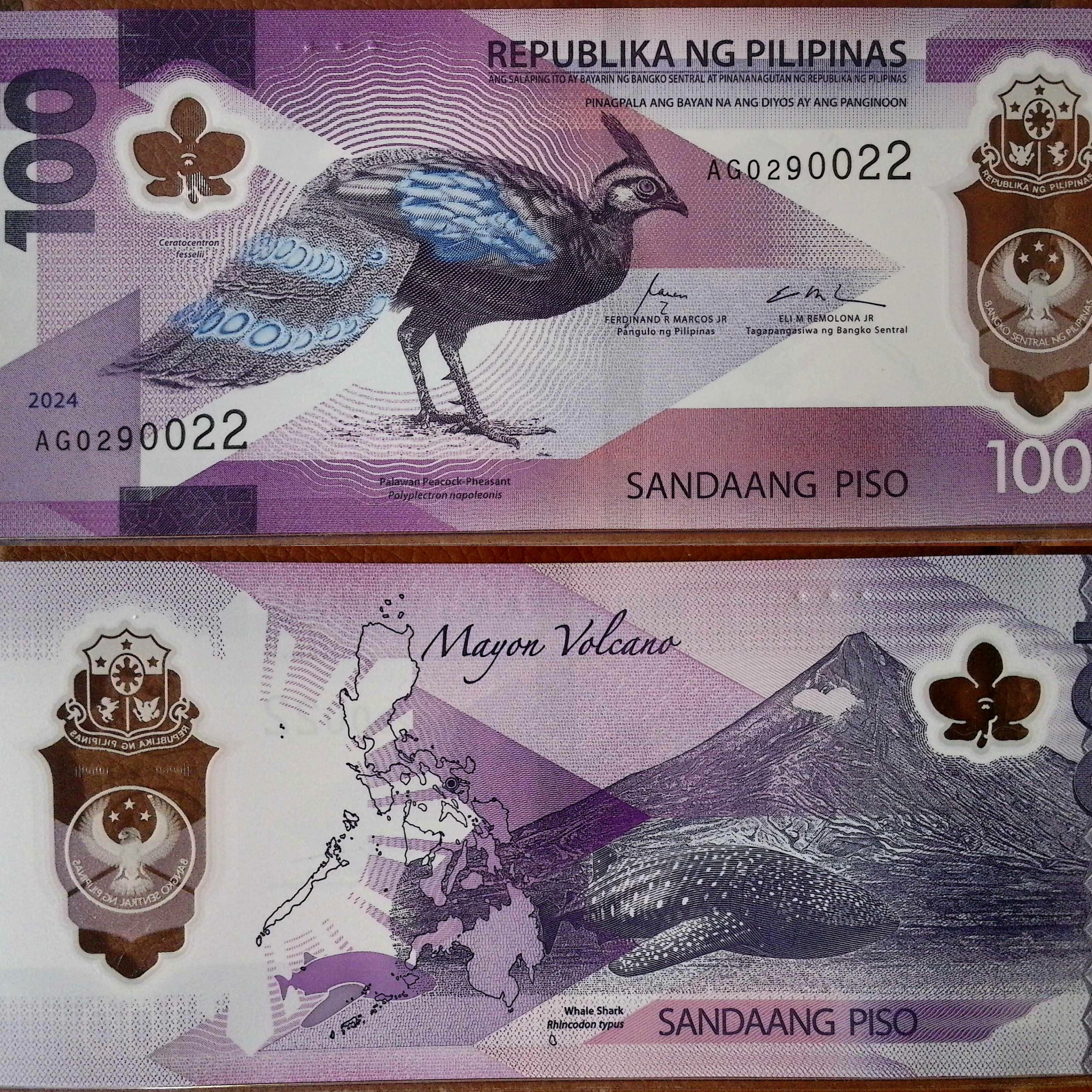 Philippines: Central Bank of the Philippines First Polymer Banknote Series: 100 Piso (2024) episode artwork