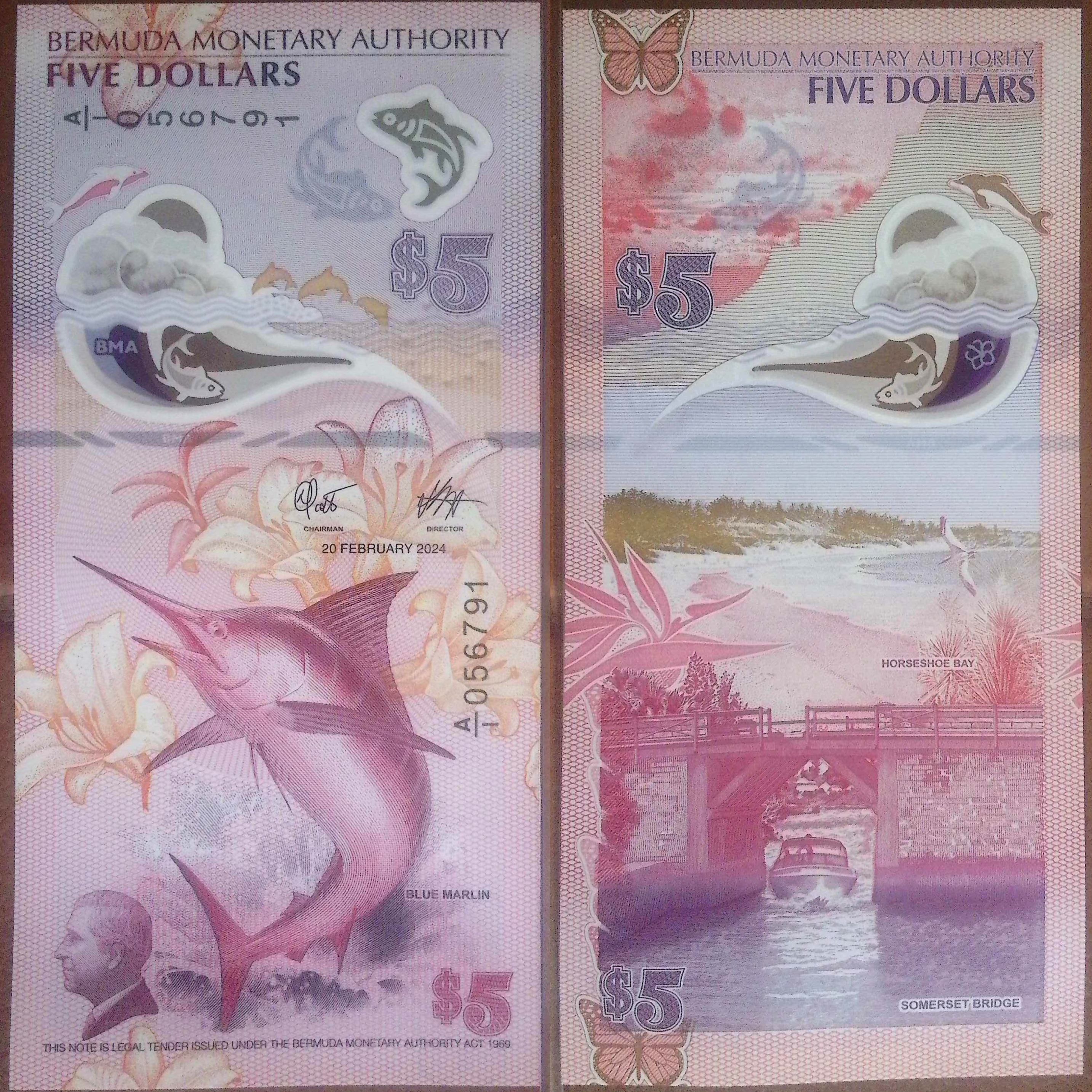 Bermuda:  Bermuda Monetary Authority 5 Dollar Polymer Banknote (2024) episode artwork