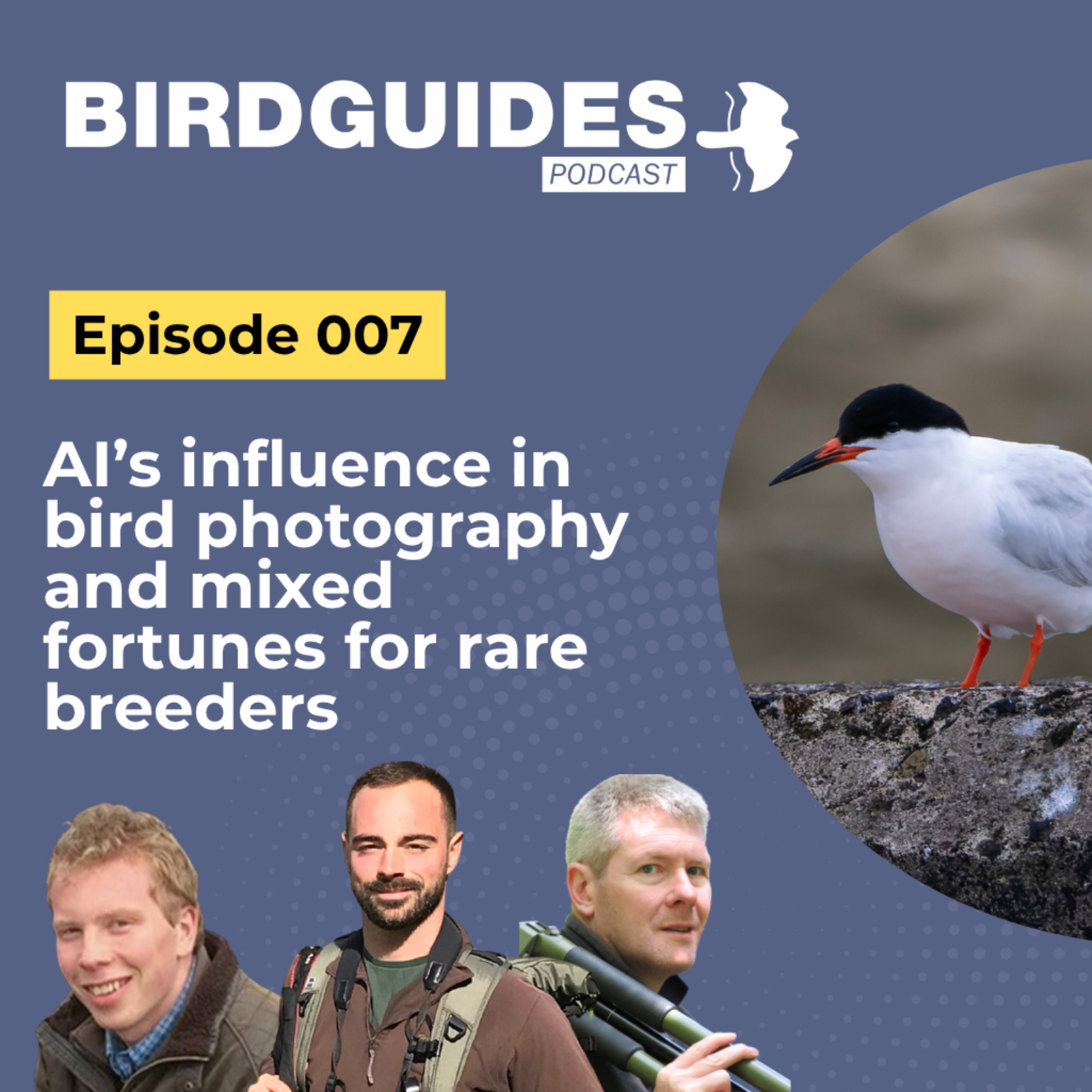 AI's influence in bird photography and mixed fortunes for rare breeders