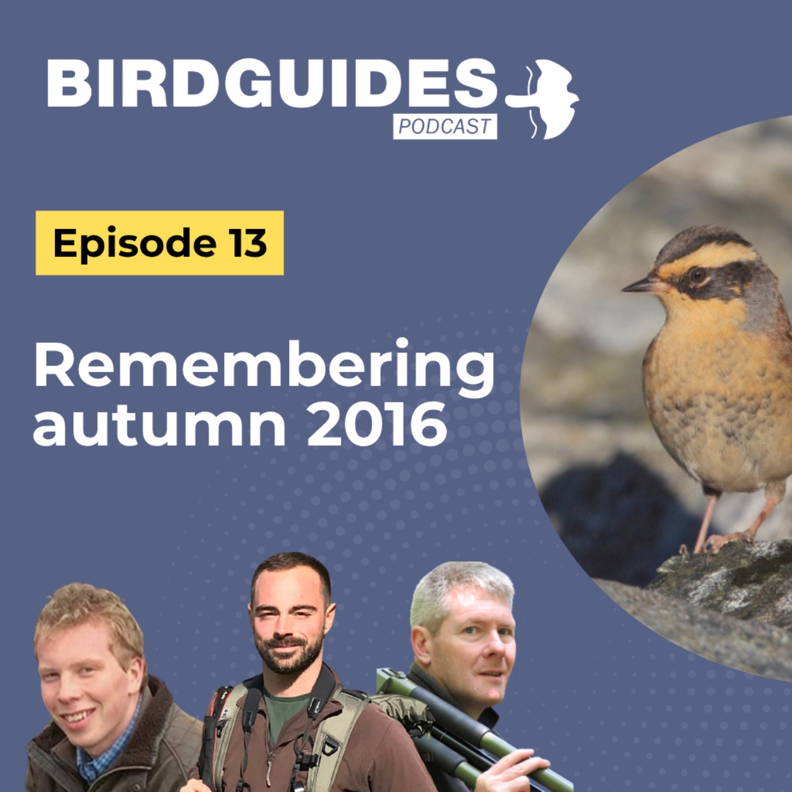 Remembering autumn 2016