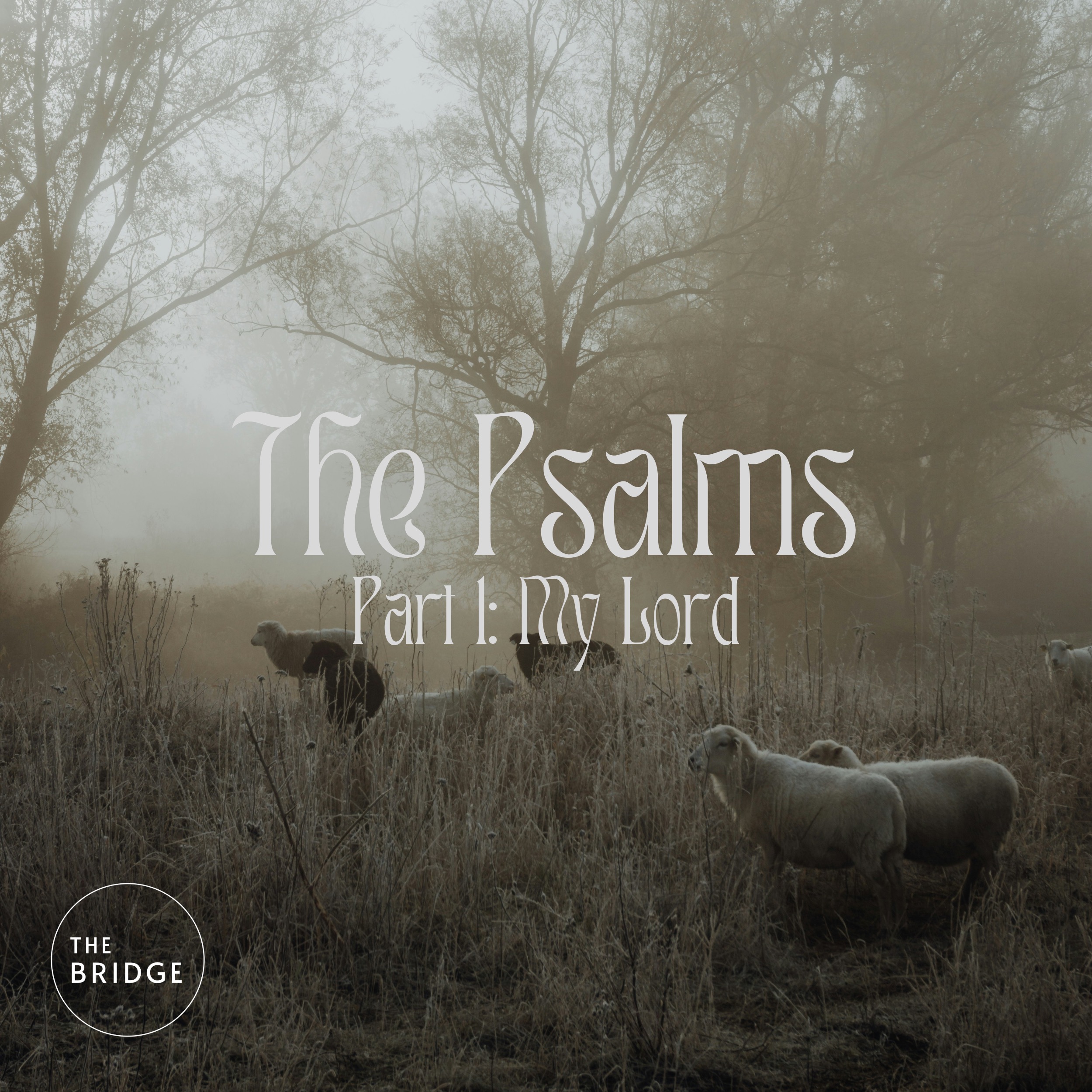 Psalms: The Lord is My Salvation episode artwork