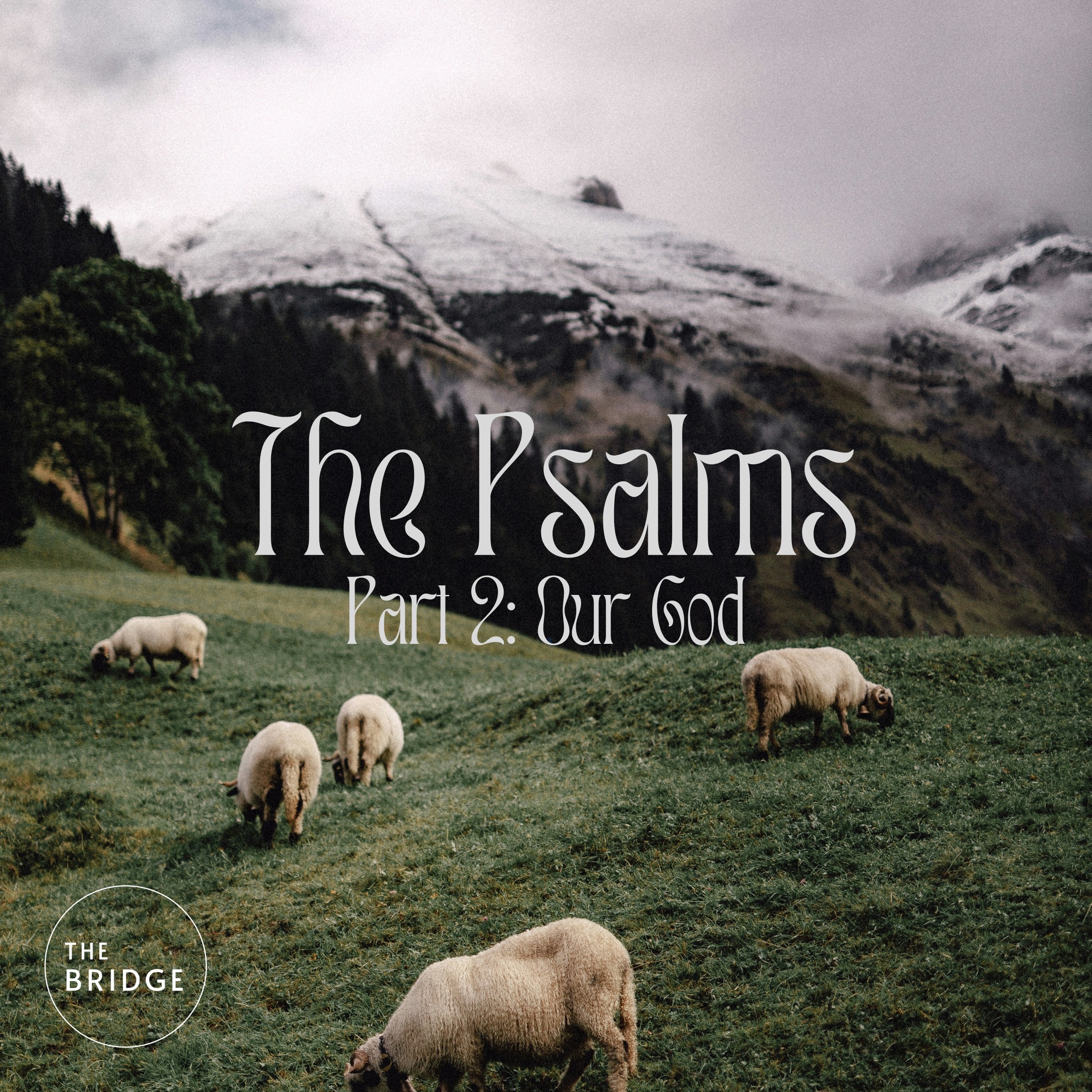 Psalms: Worship our Creator and Shepherd episode artwork