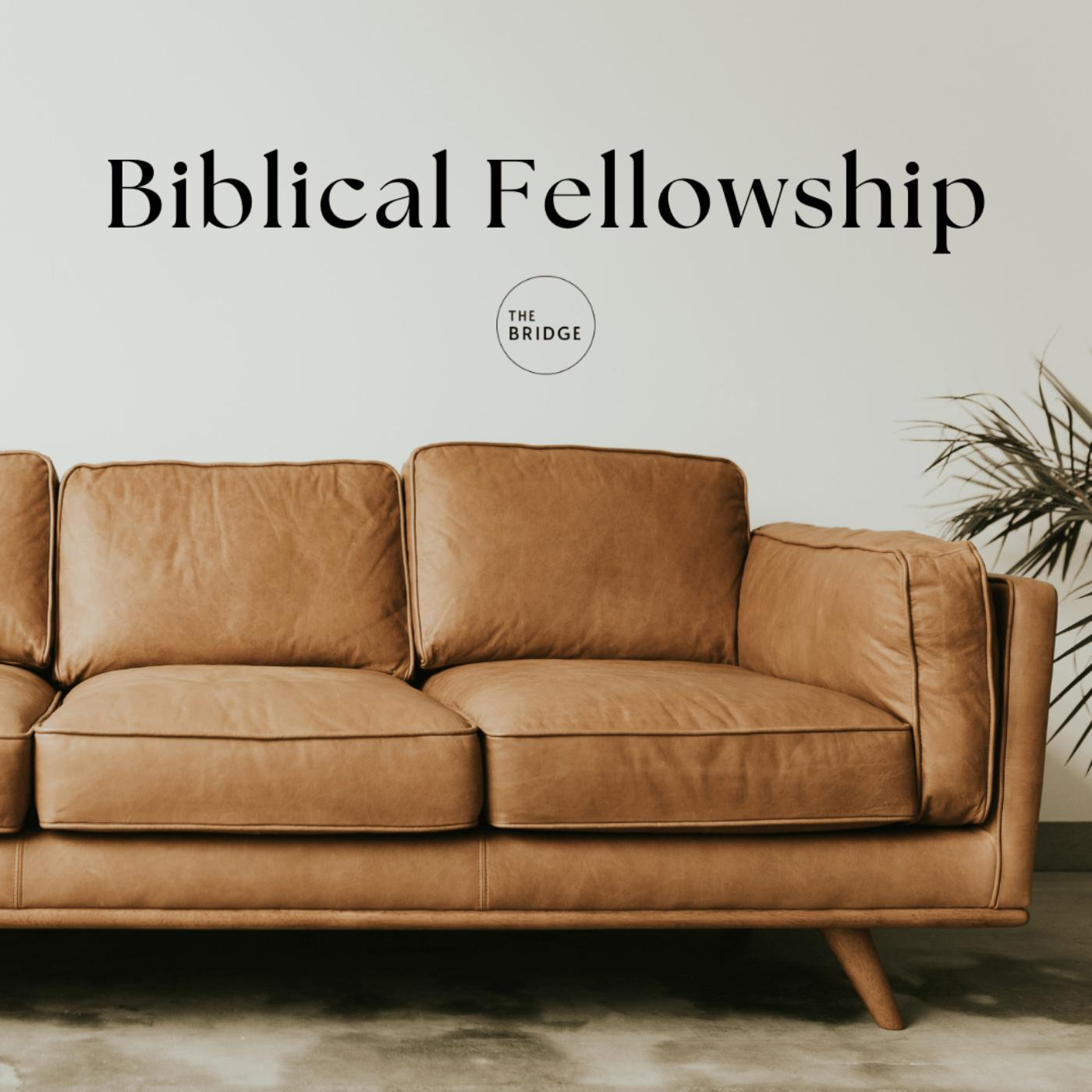 Biblical Fellowship: Living Stones episode artwork