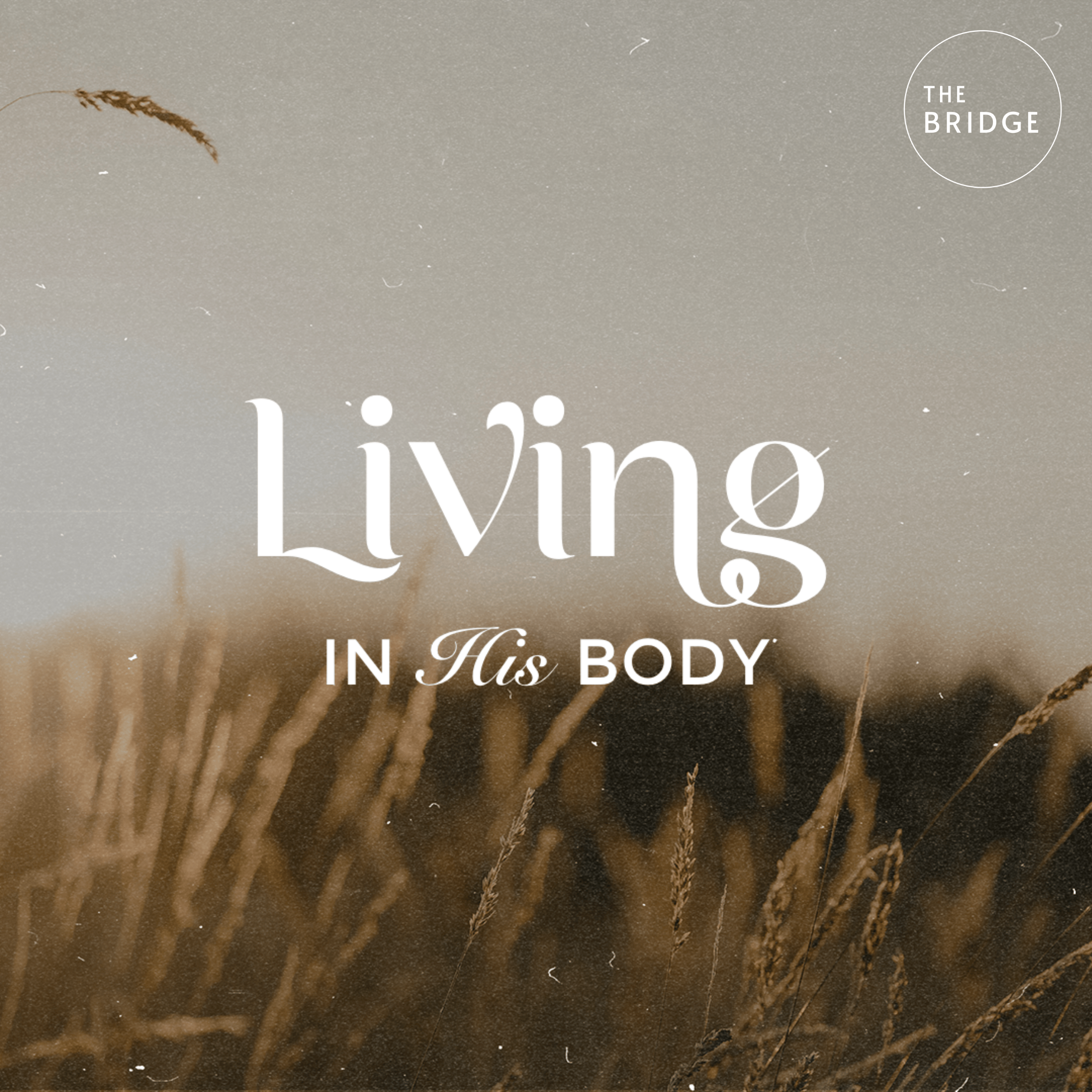 Living In His Body: Is There More? episode artwork