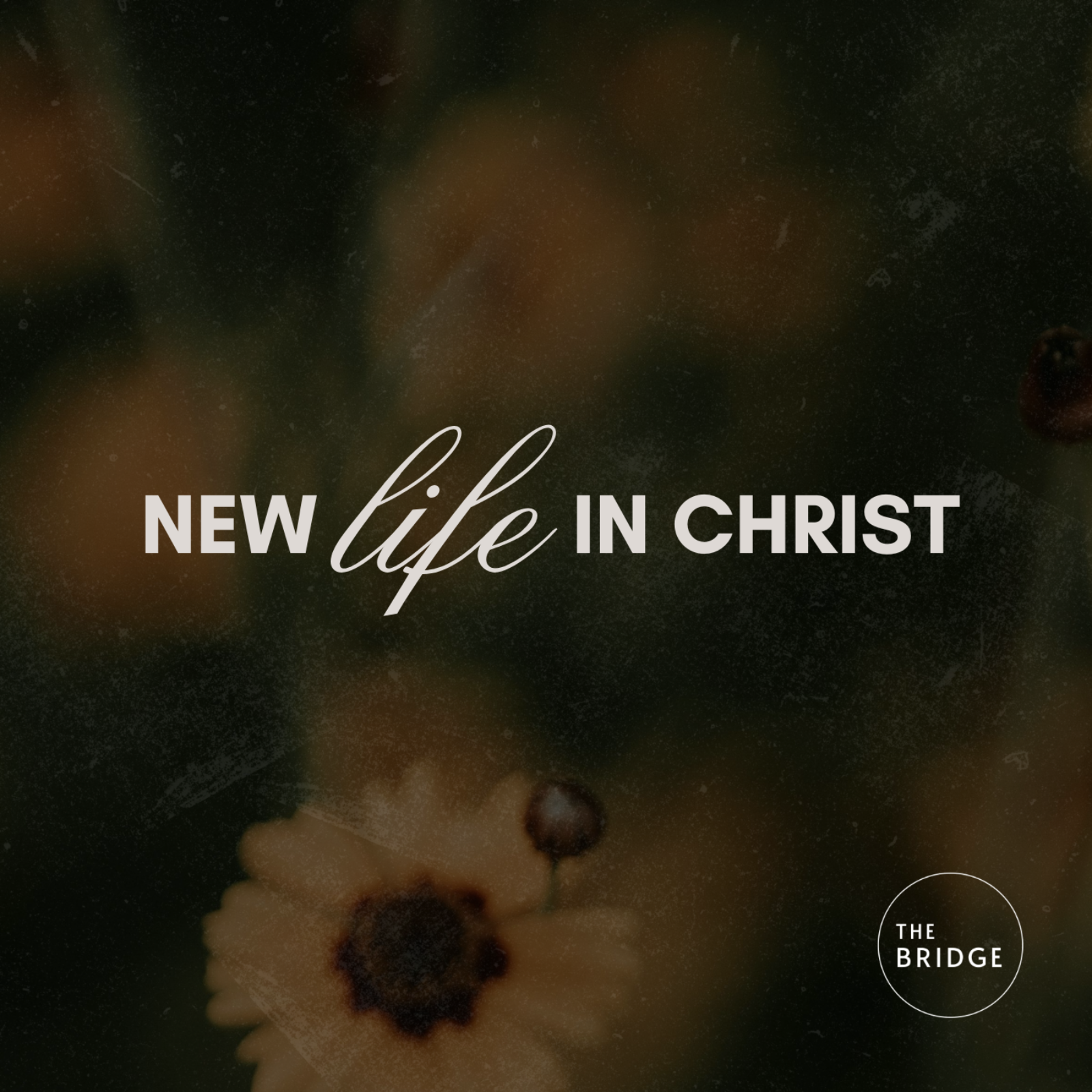 New Life In Christ: Putting on Christ episode artwork