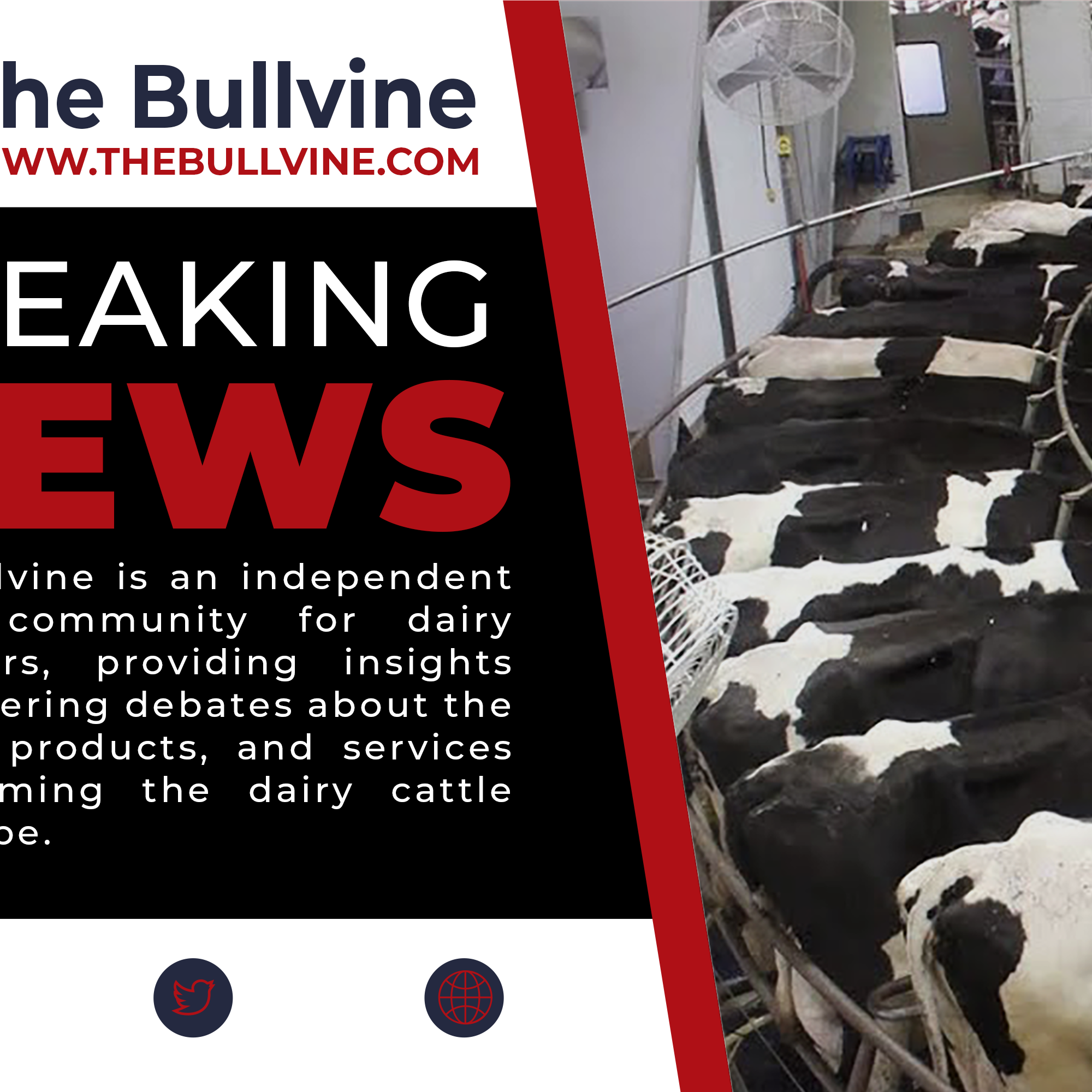 The Bullvine