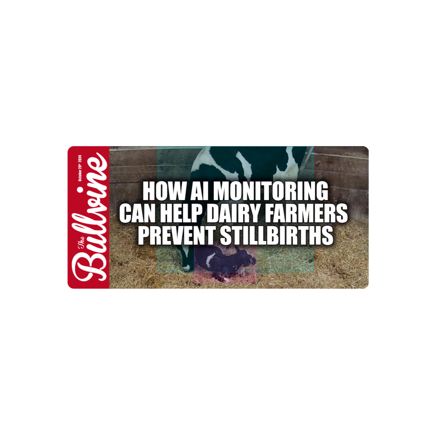 E46 How AI Monitoring Can Help Dairy Farmers Prevent Stillbirths