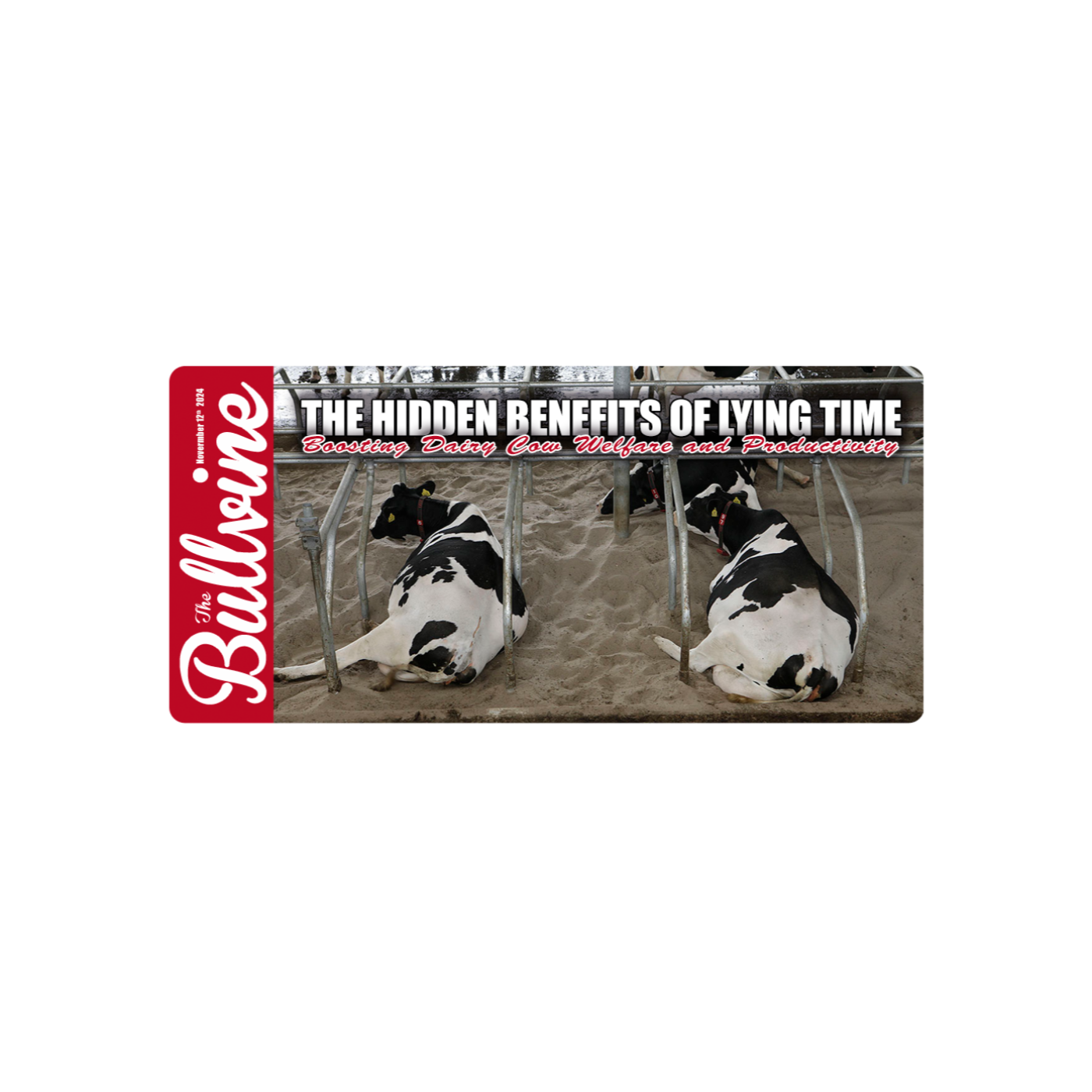 E52 The Hidden Benefits of Lying Time: Boosting Dairy Cow Welfare and Productivity