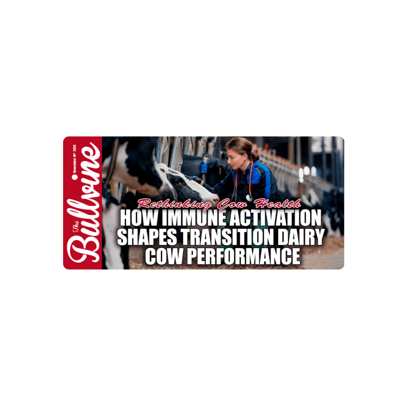 E54 Rethinking Cow Health: How Immune Activation Shapes Transition Dairy Cow Performance