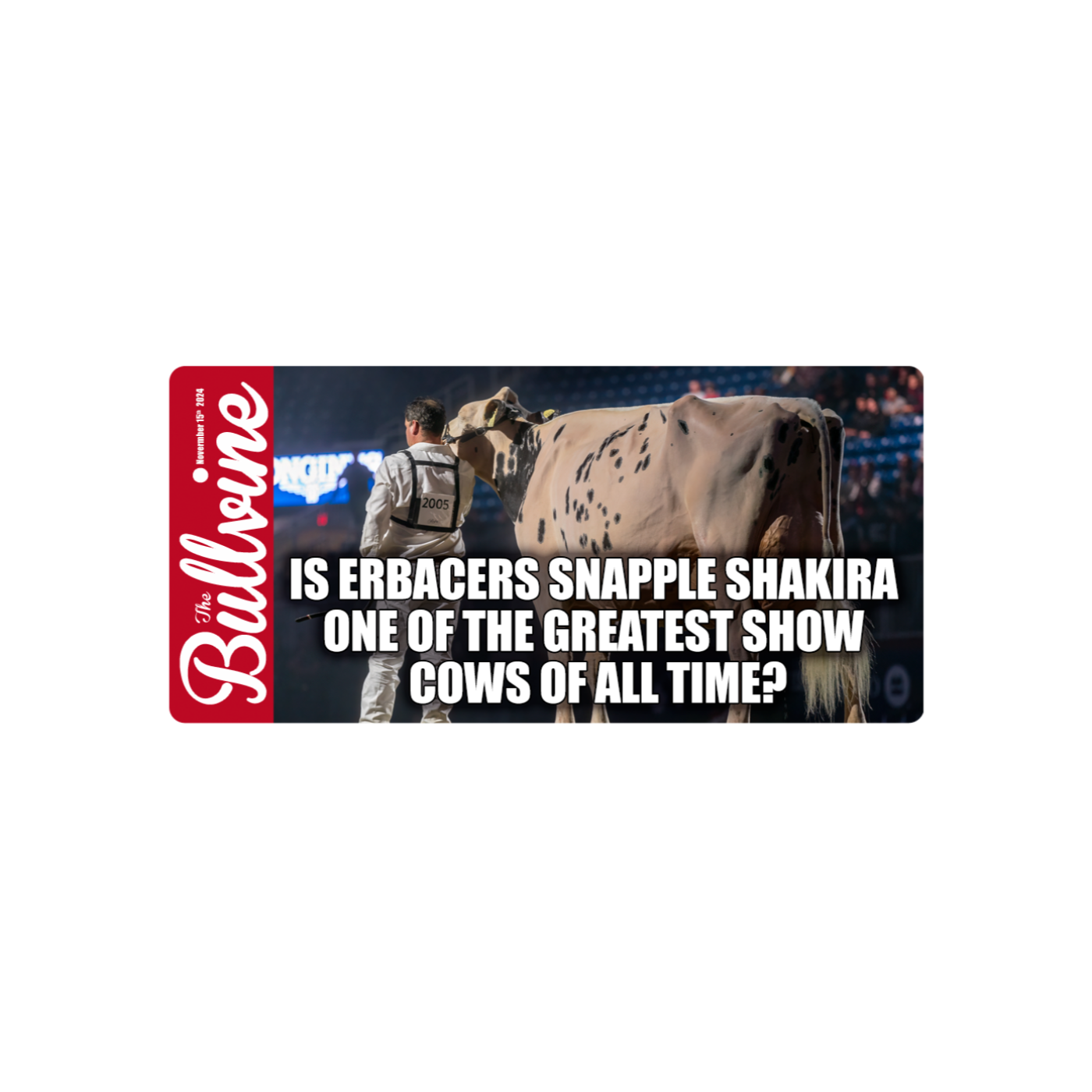 E55 Is Erbacers Snapple Shakira One of the Greatest Show Cows of All Time?