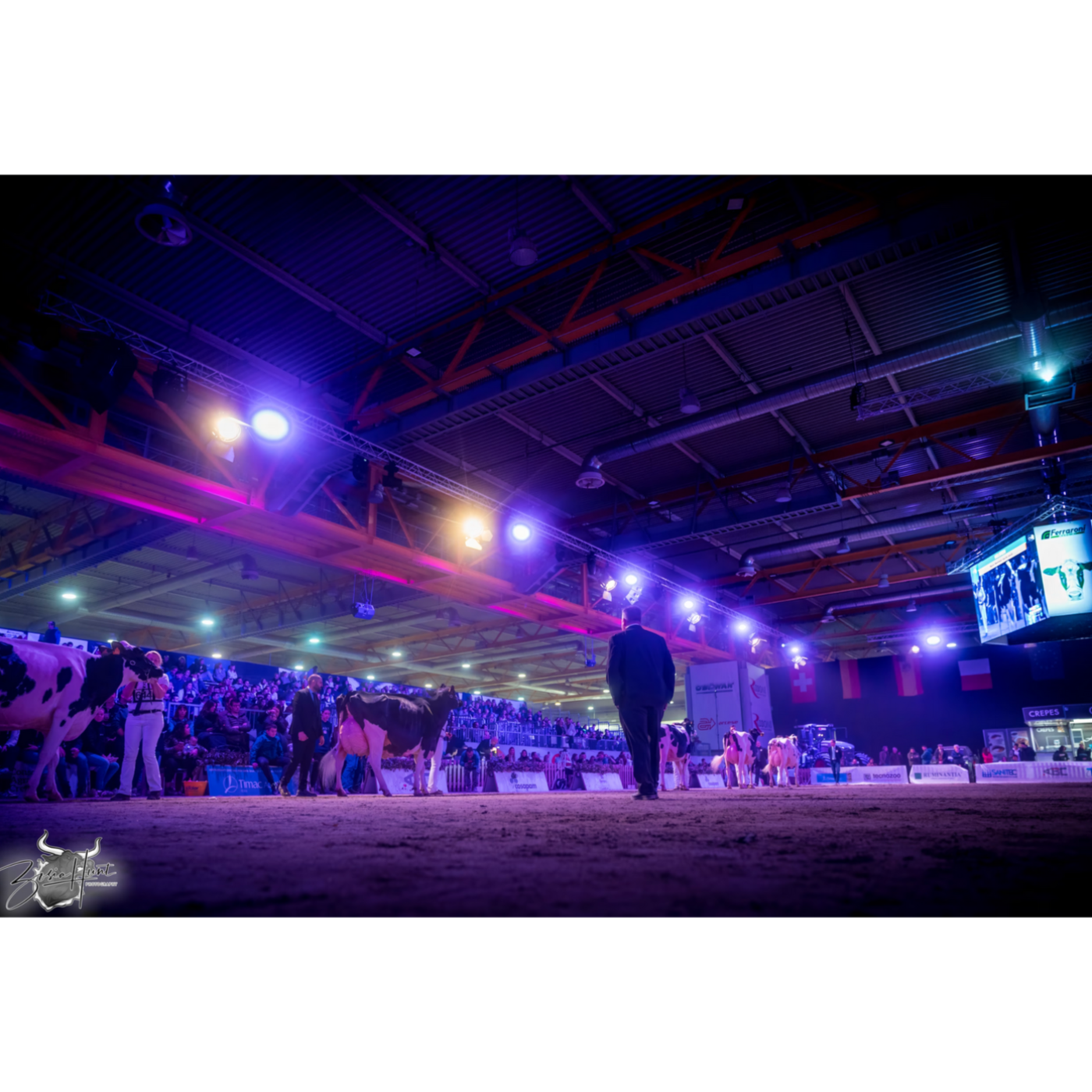 E58 Experience the Future of Dairy Farming: Don’t Miss the 79th International Livestock Exhibitions in Cremona!