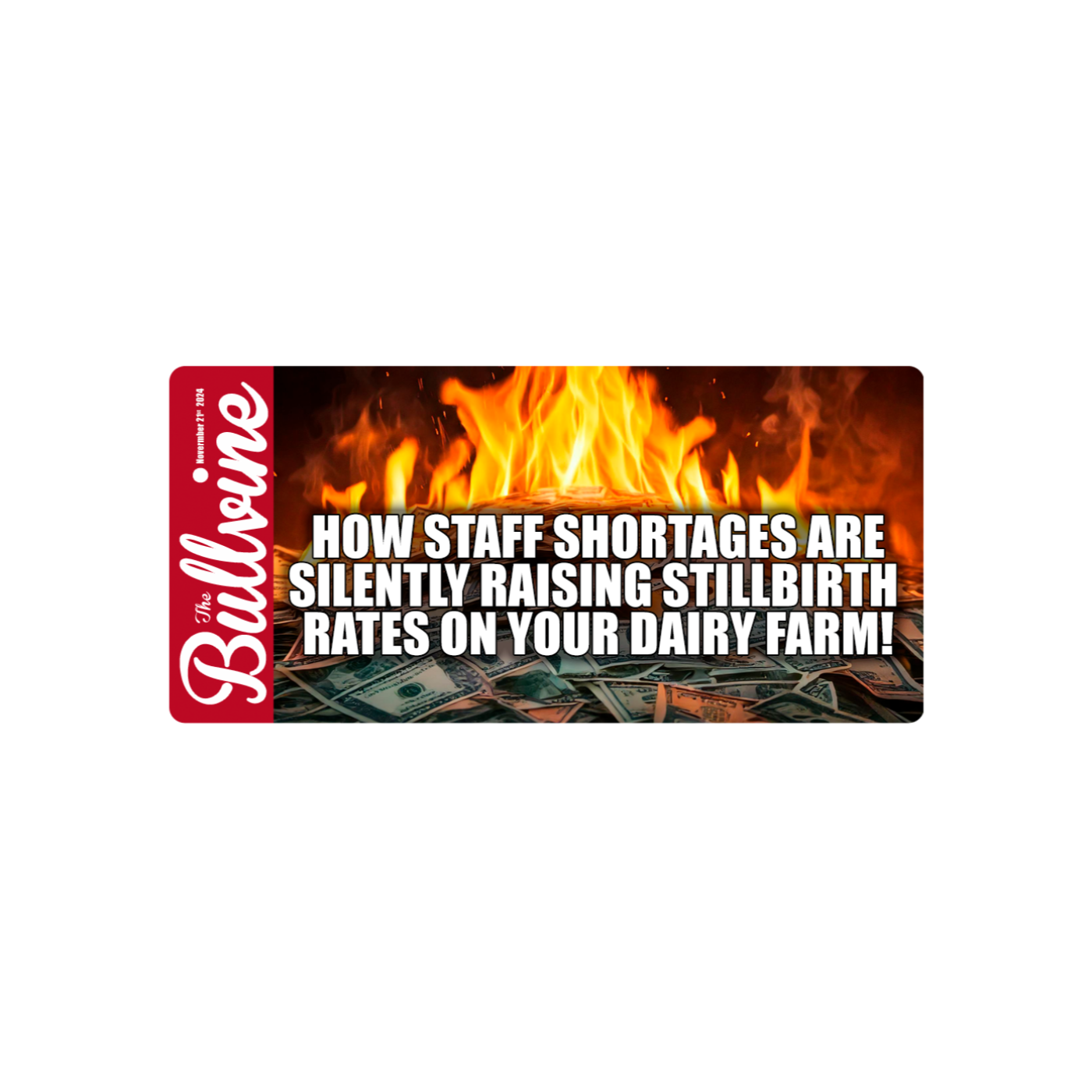 E62 How Staff Shortages Are Silently Raising Stillbirth Rates on Your Dairy Farm!