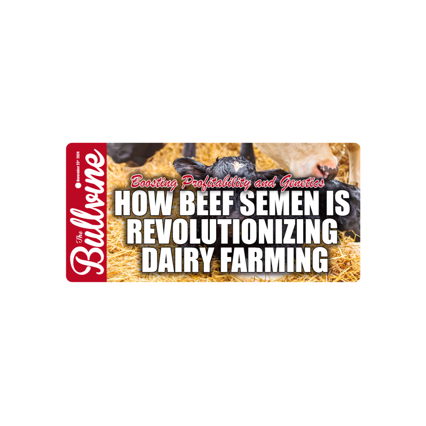 E65 How Beef Semen is Revolutionizing Dairy Farming: Boosting Profitability and Genetics