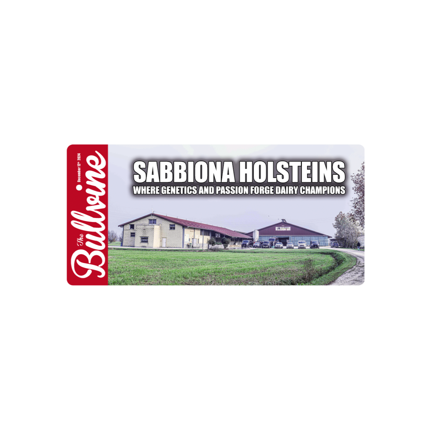 E85 Sabbiona Holsteins: Where Genetics and Passion Forge Dairy Champions