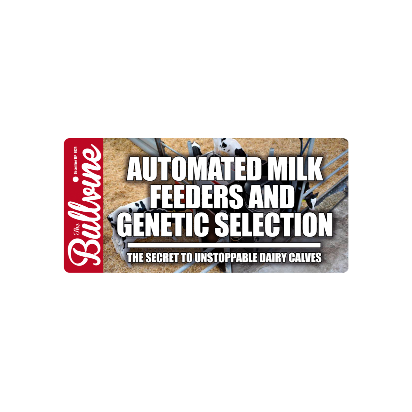 E90 Automated Milk Feeders and Genetic Selection: The Secret to Unstoppable Dairy Calves