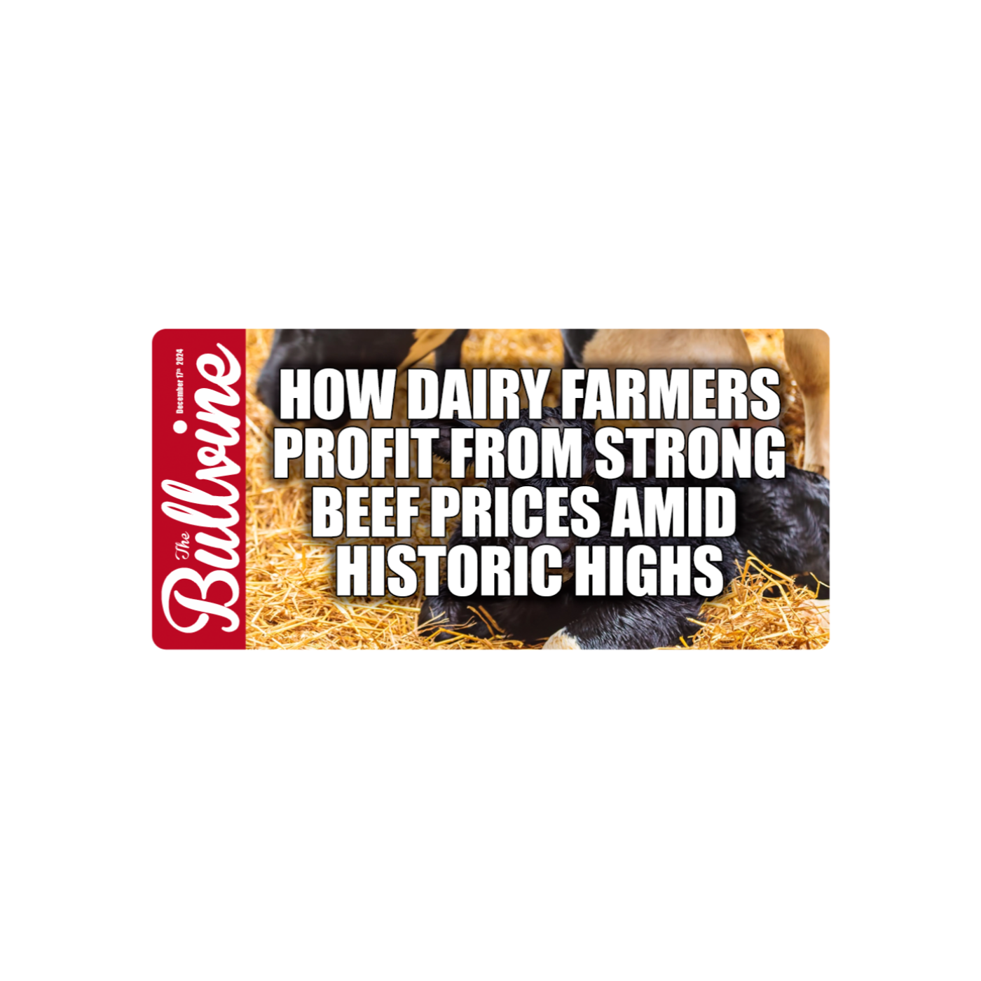 E92 How Dairy Farmers Profit from Strong Beef Prices Amid Historic Highs