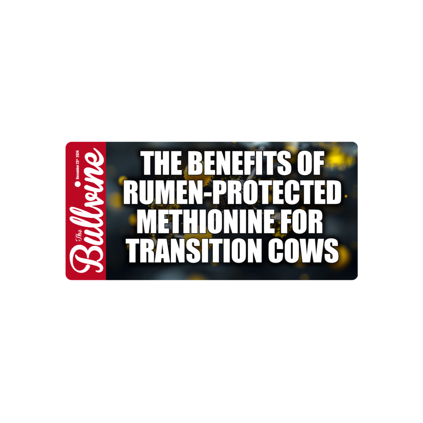 E98 The Benefits of Rumen-Protected Methionine for Transition Cows