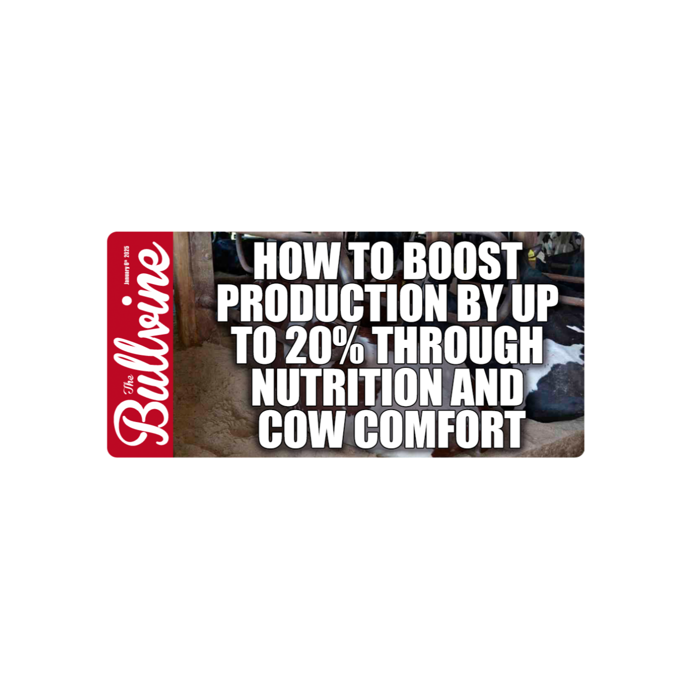 E109 How to Boost Production by up to 20% through Nutrition and Cow Comfort