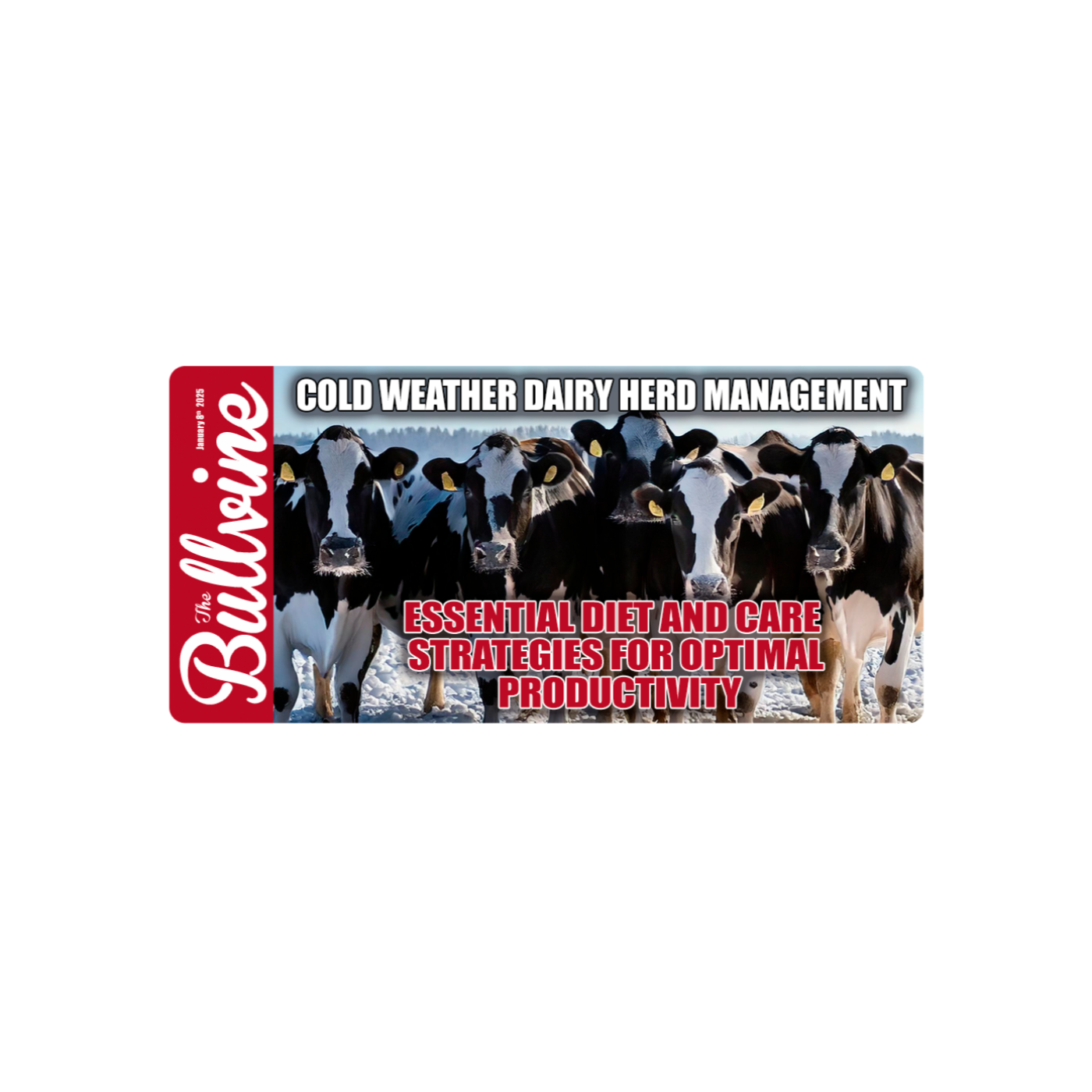 E111 Cold Weather Dairy Herd Management: Essential Diet and Care Strategies for Optimal Productivity