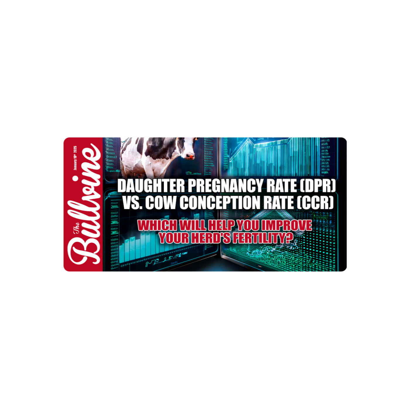 E125 Daughter Pregnancy Rate (DPR) vs. Cow Conception Rate (CCR): Which will help you improve your herd’s fertility?