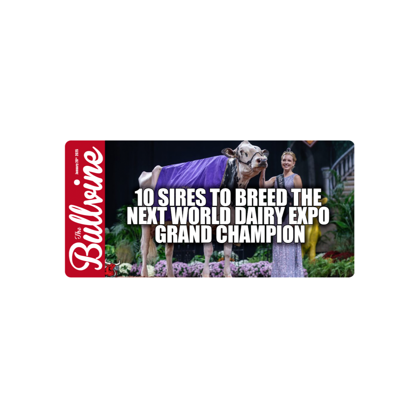 E137 10 Sires To Breed The Next World Dairy Expo Grand Champion