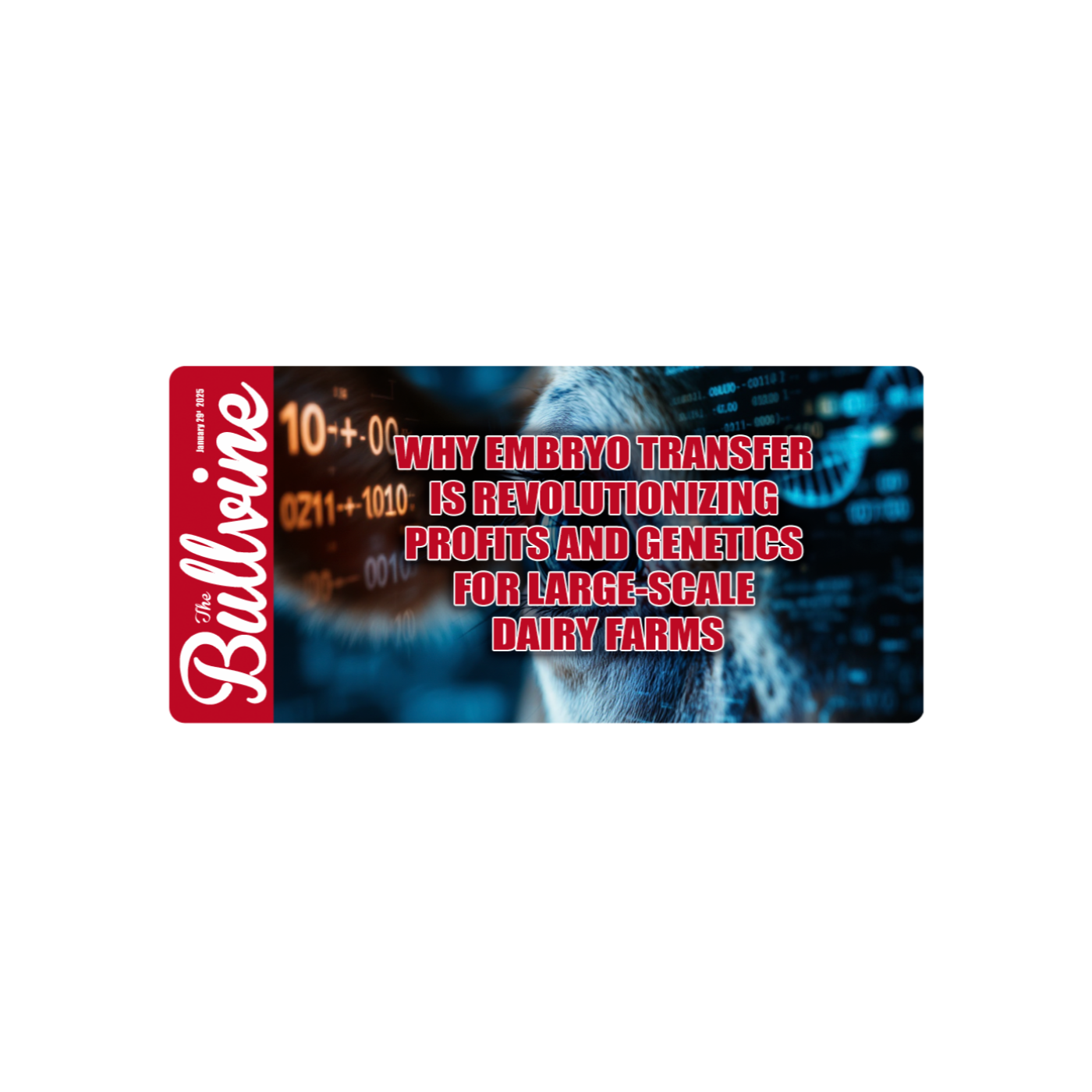 E142 Why Embryo Transfer is Revolutionizing Profits and Genetics for Large-Scale Dairy Farms