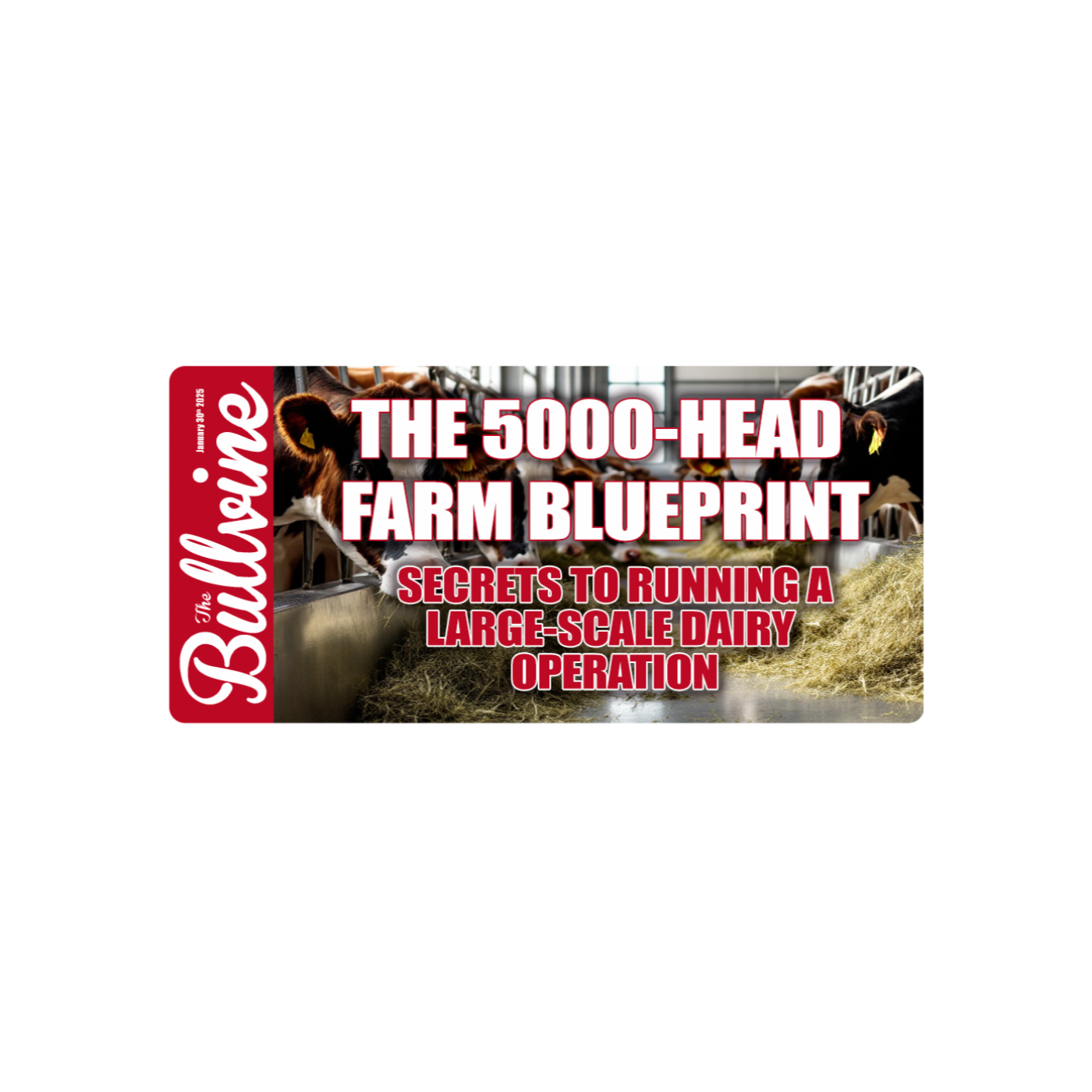 The Bullvine