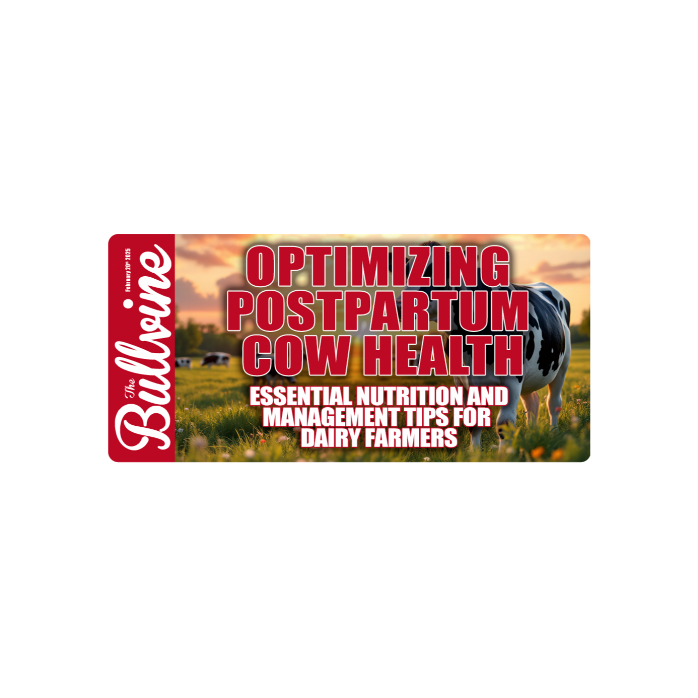 E176 Optimizing Postpartum Cow Health: Essential Nutrition and Management Tips for Dairy Farmers
