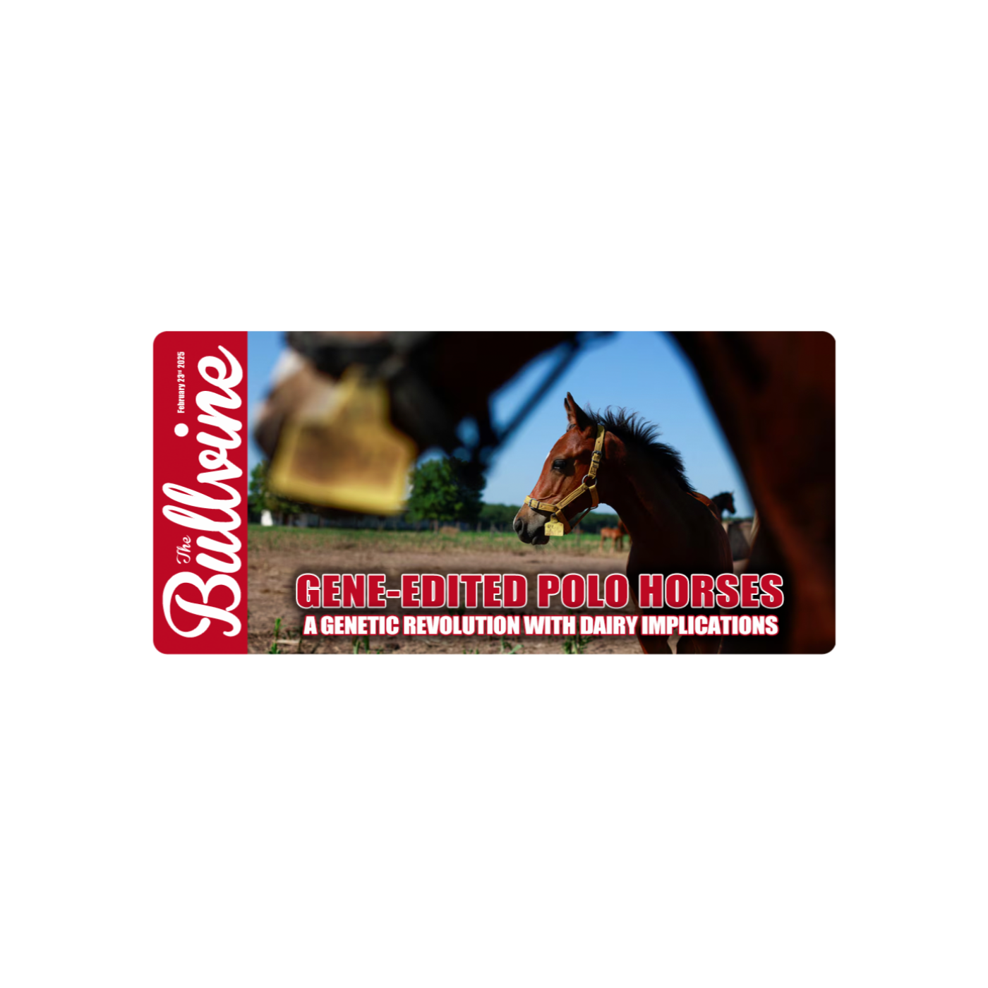 E179 Gene-Edited Polo Horses: A Genetic Revolution with Dairy Implications