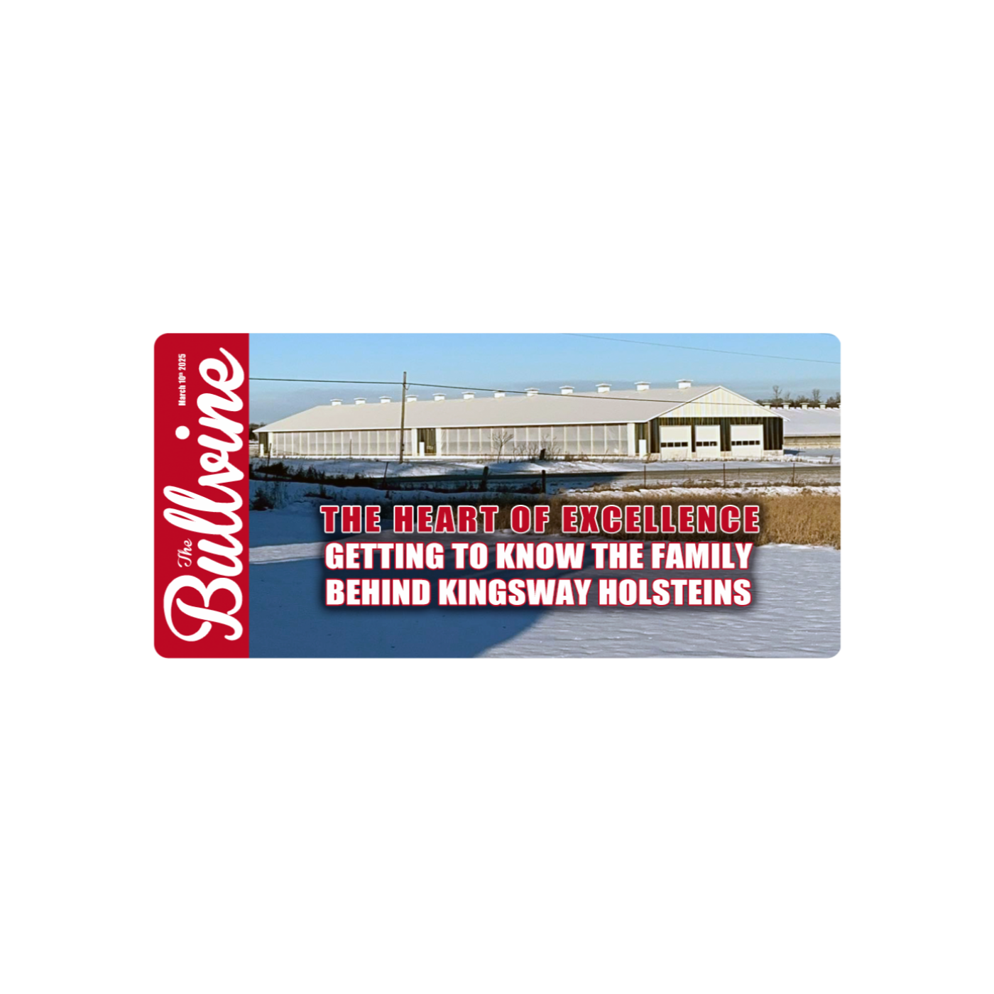 194 The Heart of Excellence: Getting to Know the Family Behind Kingsway Holsteins