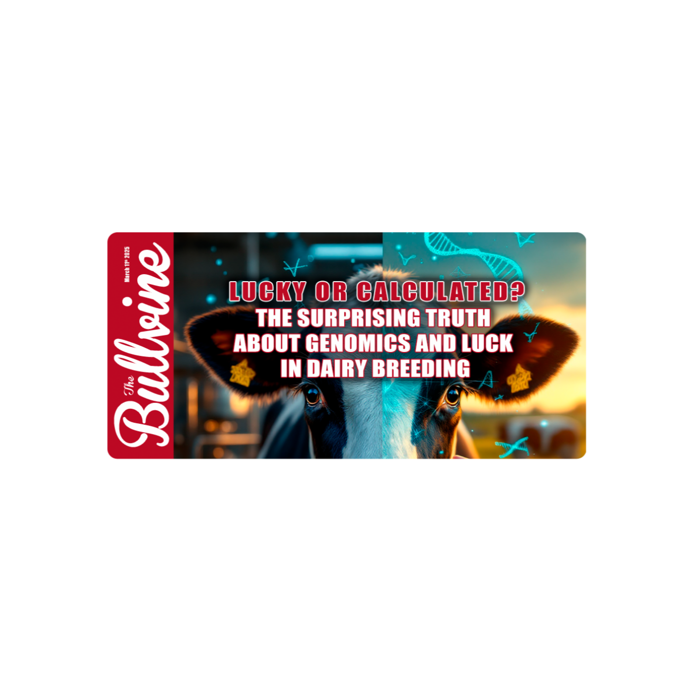 The Bullvine