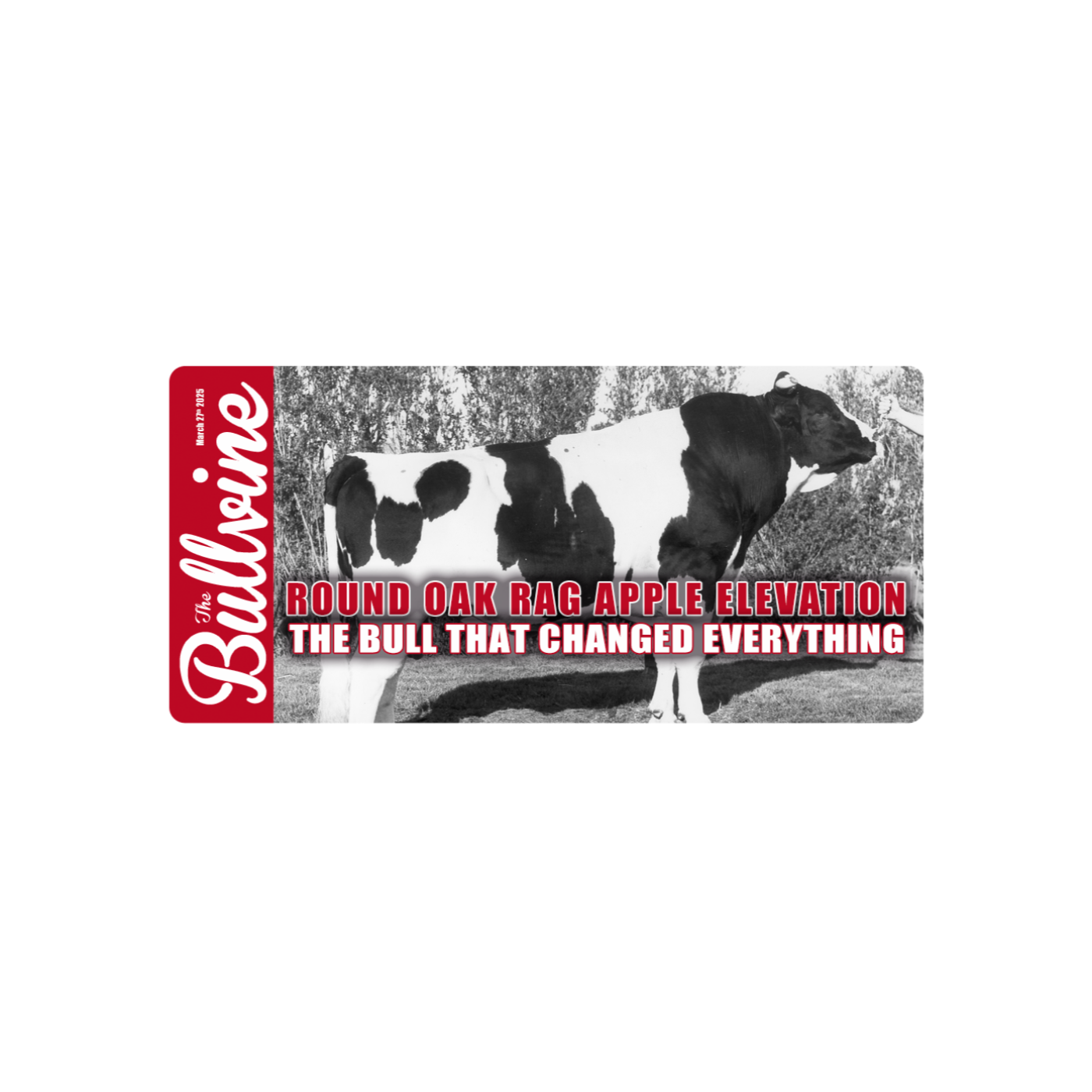 E212 Round Oak Rag Apple Elevation: The Bull That Changed Everything