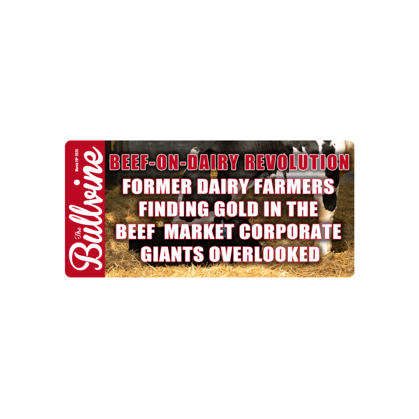 E214 BEEF-ON-DAIRY REVOLUTION: Former Dairy Farmers Finding Gold in the Beef Market Corporate Giants Overlooked