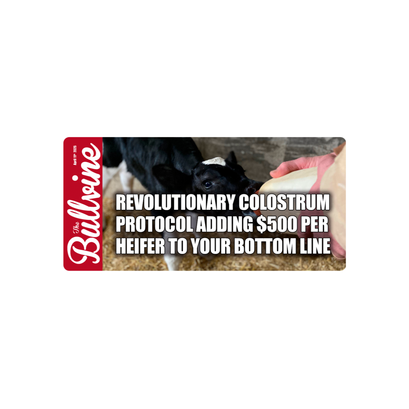E232 Revolutionary Colostrum Protocol Adding $500 Per Heifer to Your Bottom Line