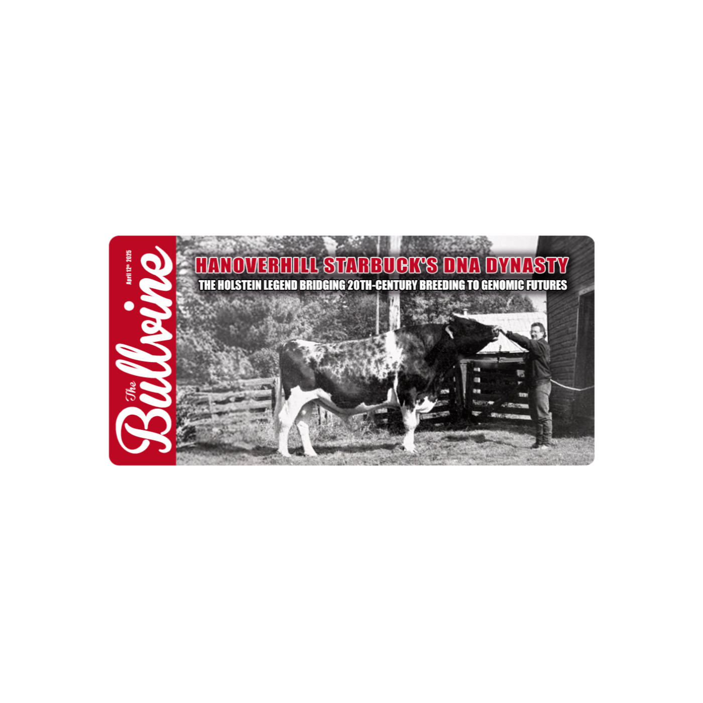 E233 Hanoverhill Starbuck’s DNA Dynasty: The Holstein Legend Bridging 20th-Century Breeding to Genomic Futures