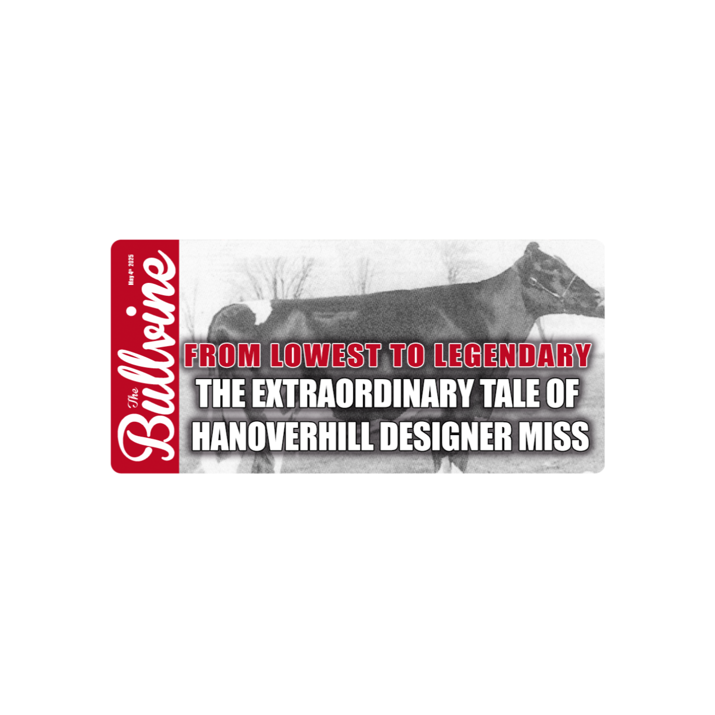 Pagina 166 | Animation Magazine, image size:1400x1400