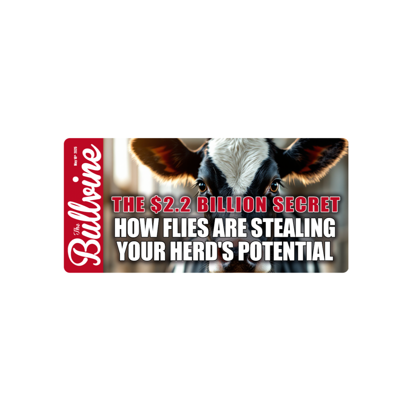 E262 The $2.2 Billion Secret: How Flies Are Stealing Your Herd's Potential