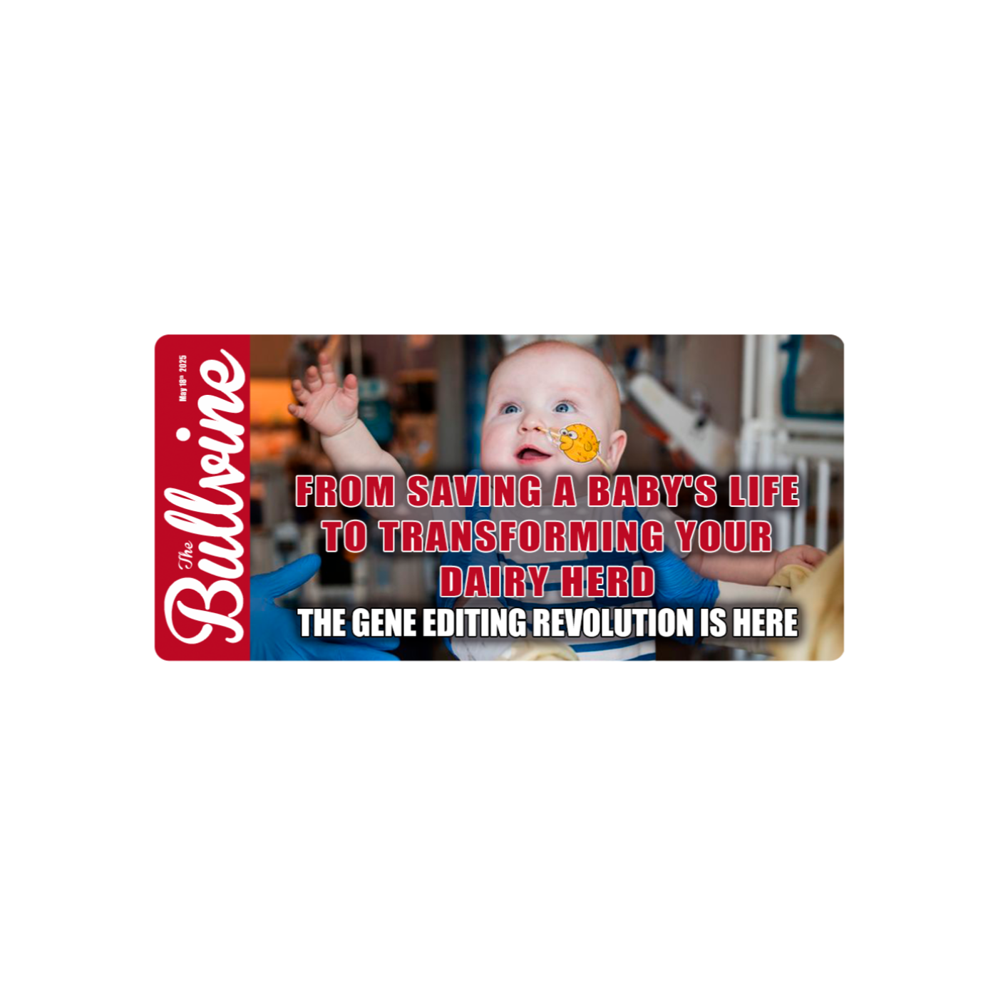 E264 From Saving a Baby’s Life to Transforming Your Dairy Herd: The Gene Editing Revolution Is Here