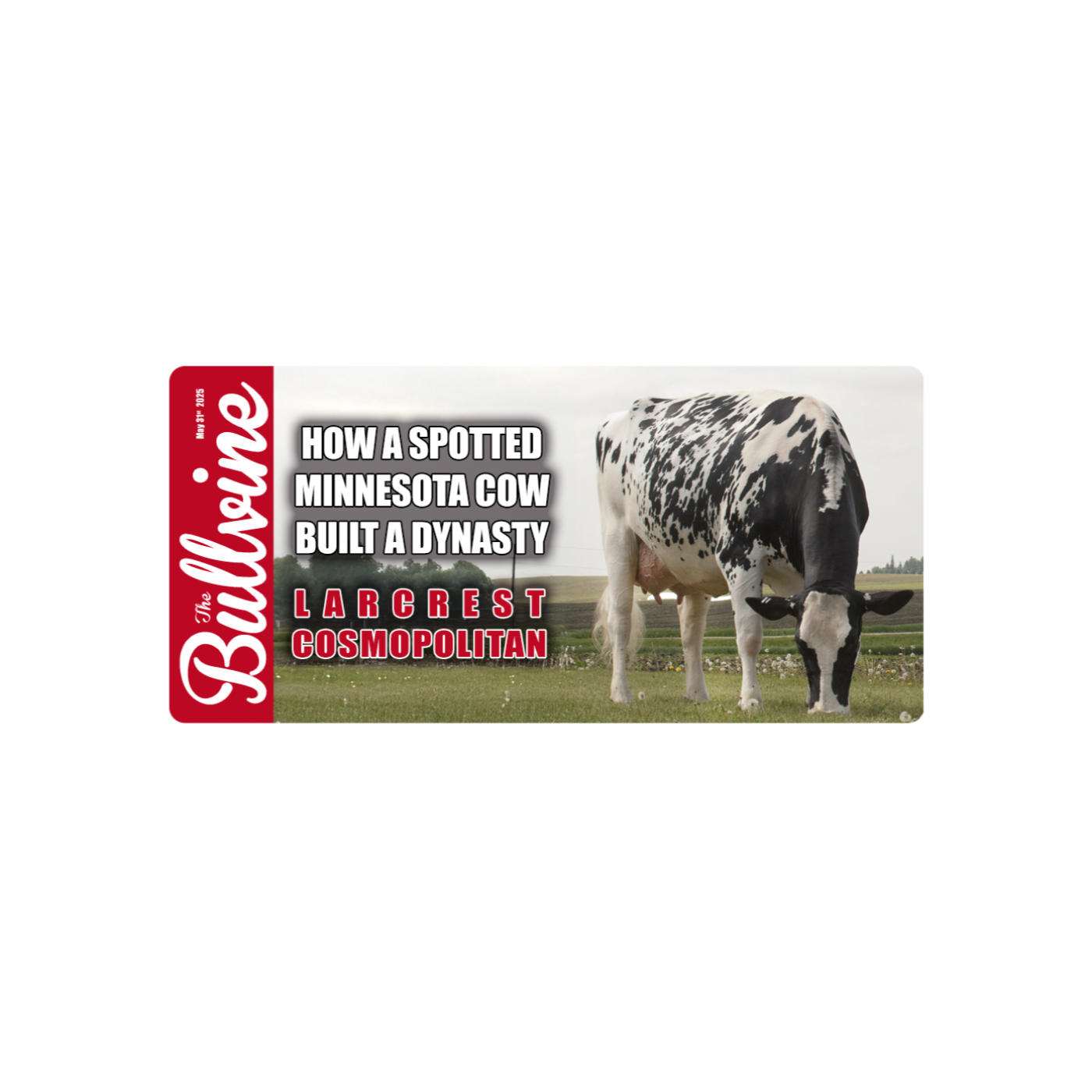 E278 Larcrest Cosmopolitan: How a Spotted Minnesota Cow Built a Dynasty
