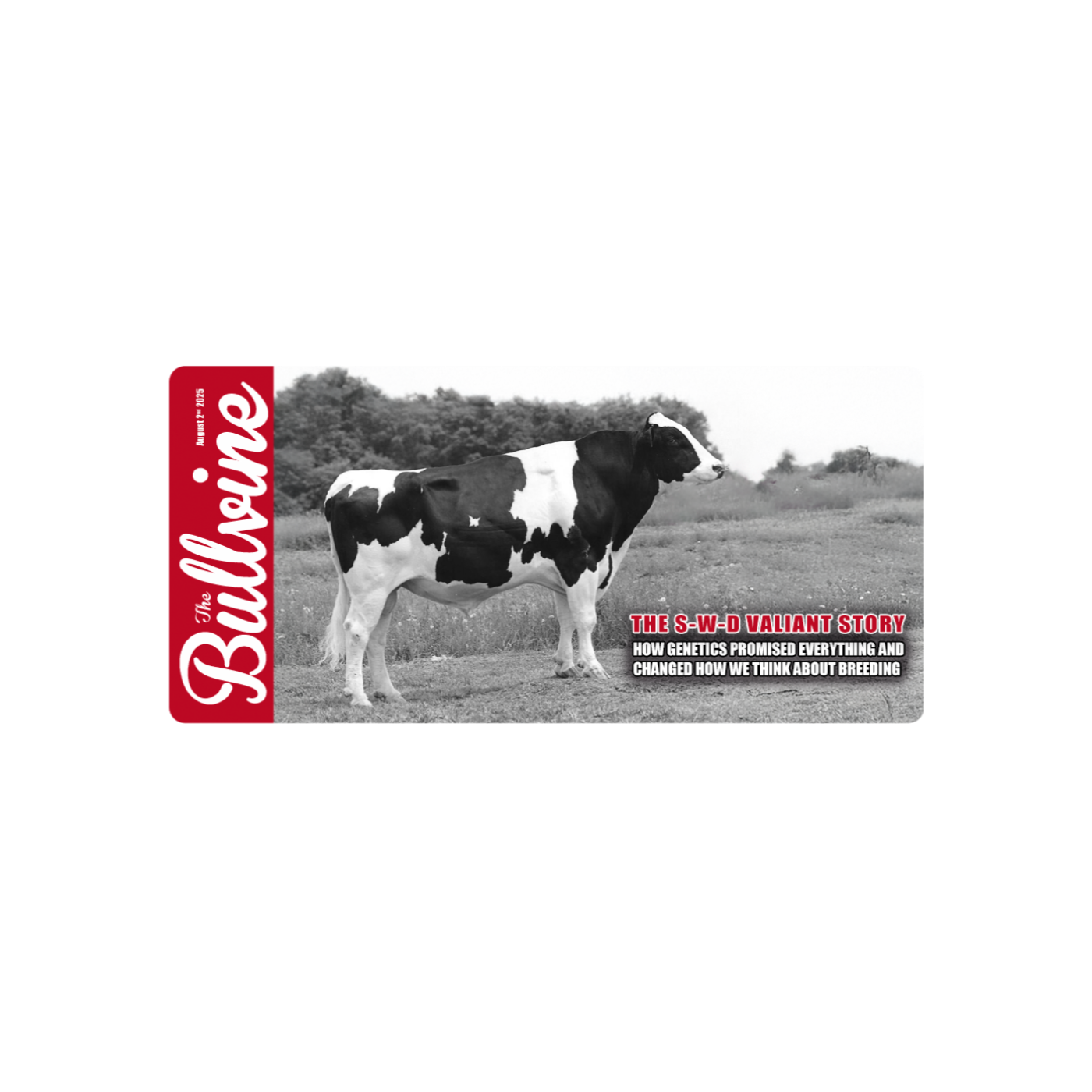 The Bullvine