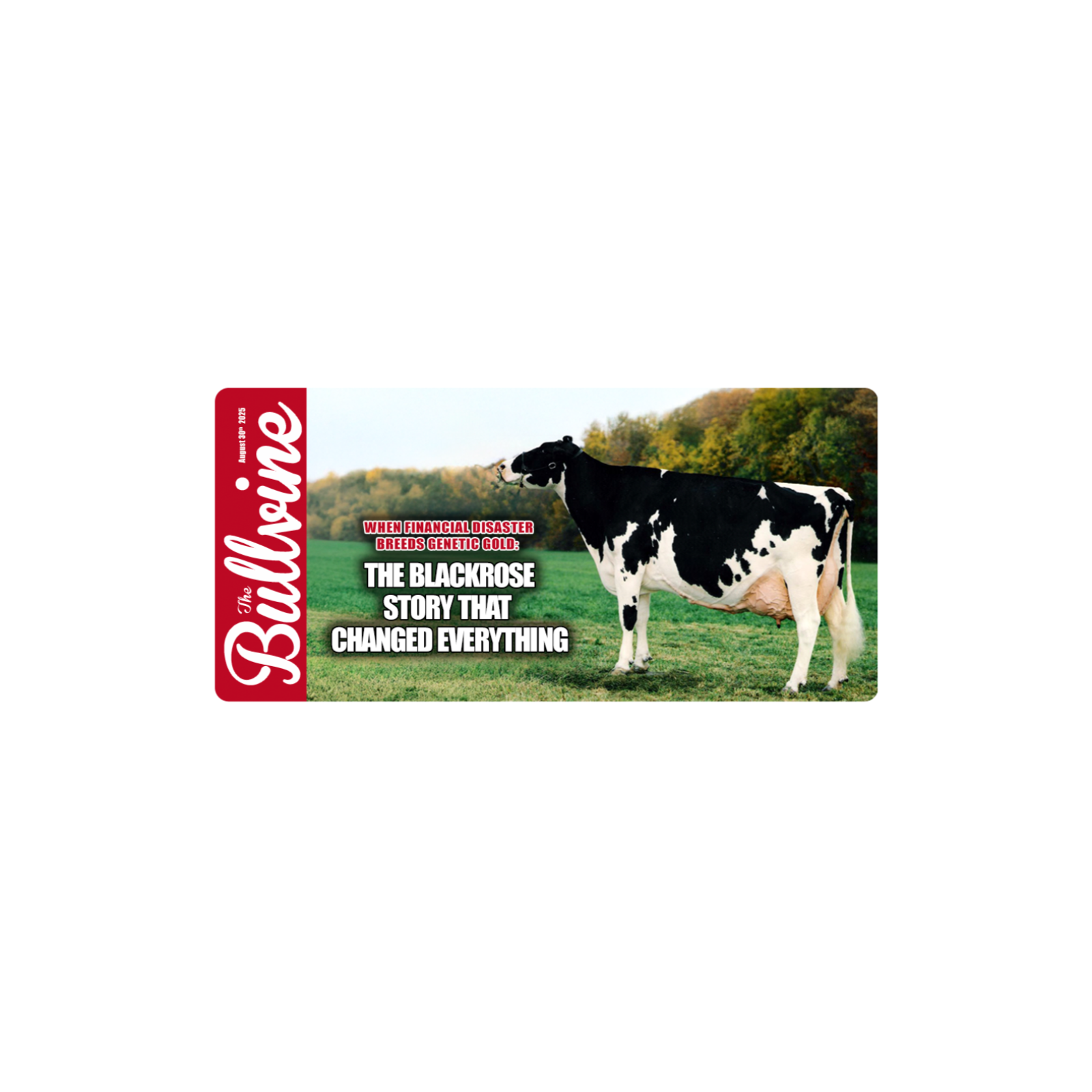 E353 When Financial Disaster Breeds Genetic Gold: The Blackrose Story That Changed Everything