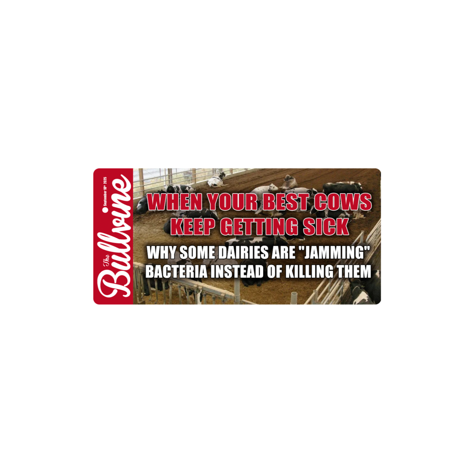 E369 When Your Best Cows Keep Getting Sick: Why Some Dairies Are “Jamming” Bacteria Instead of Killing Them