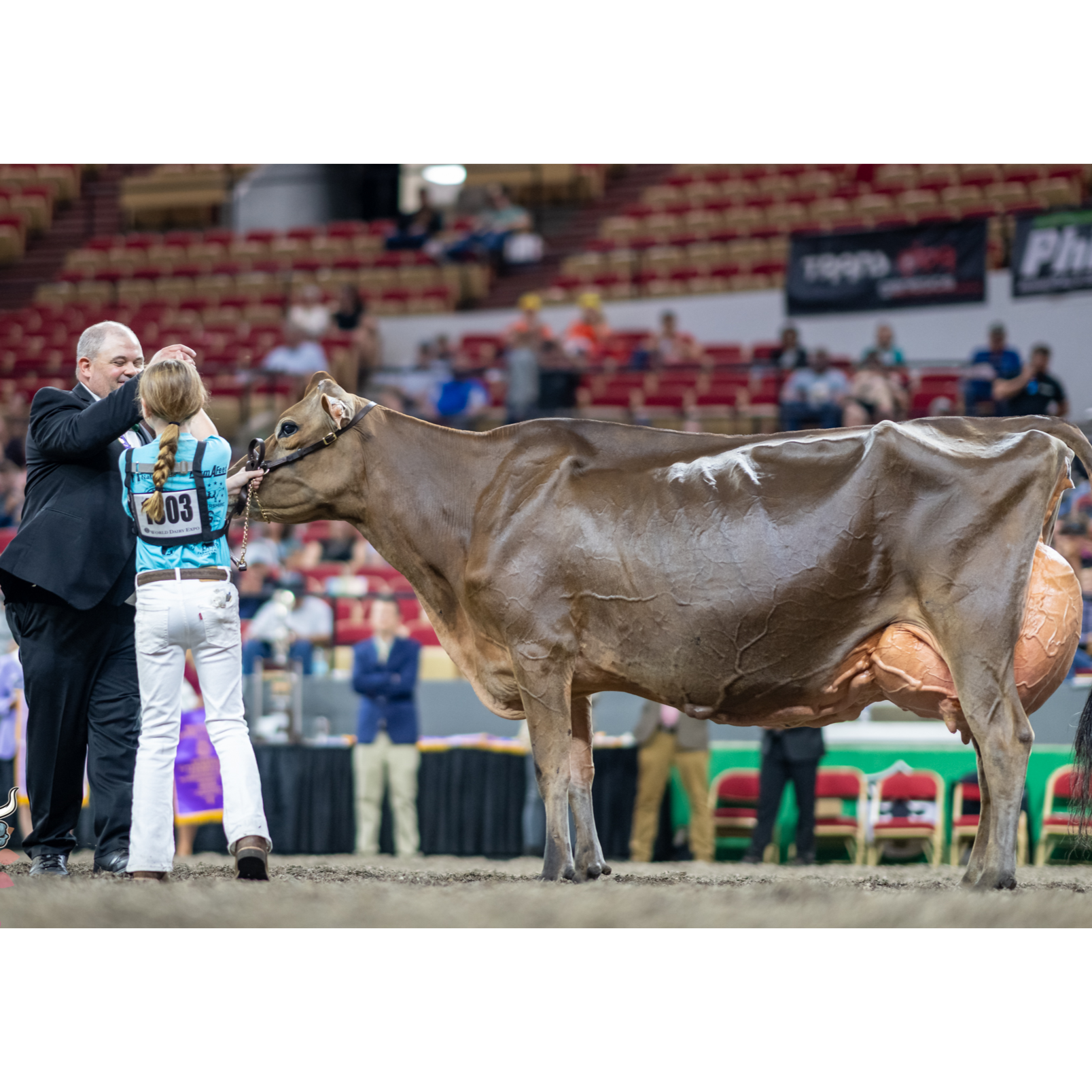 E380 World Dairy Expo Day 3: Goosebumps in Madison: How Split-Second Decisions Created Day 3’s Championship Magic